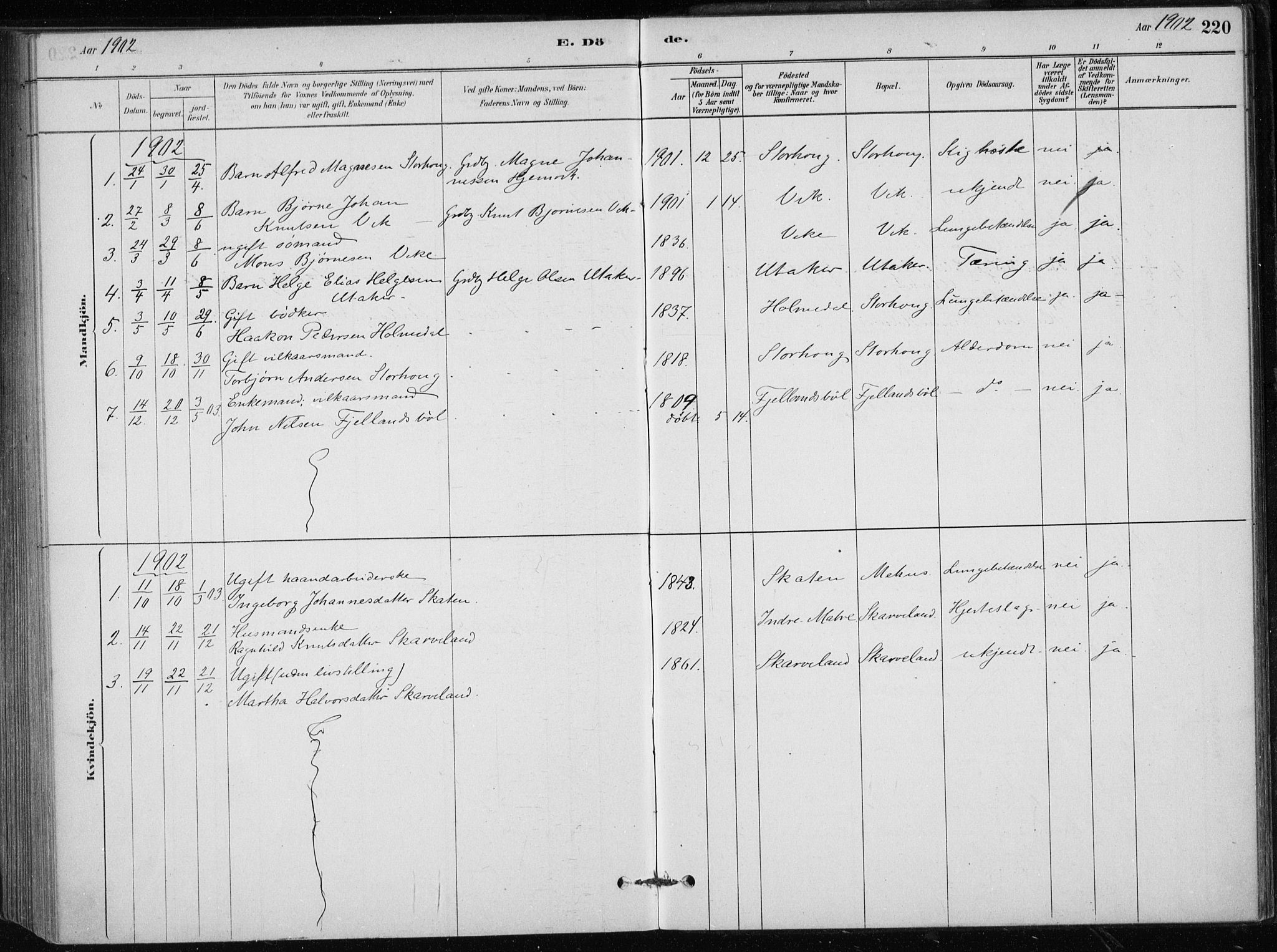 Skånevik sokneprestembete, SAB/A-77801/H/Haa: Parish register (official) no. C  1, 1879-1917, p. 220