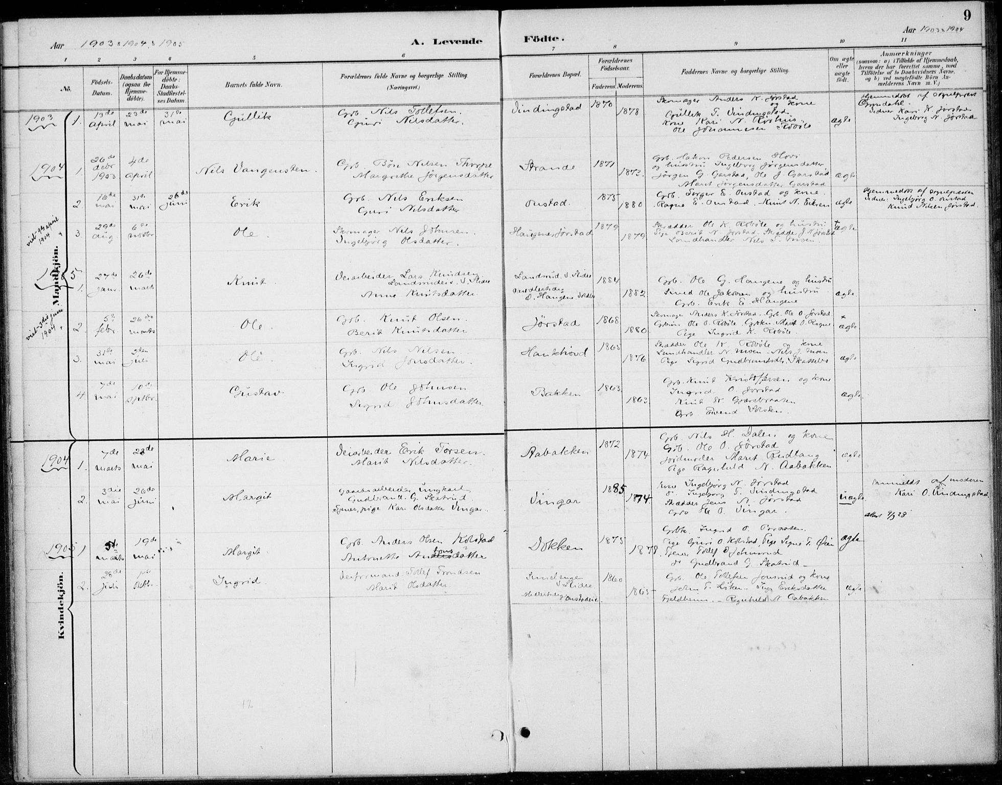 Øystre Slidre prestekontor, AV/SAH-PREST-138/H/Ha/Haa/L0005: Parish register (official) no. 5, 1887-1916, p. 9