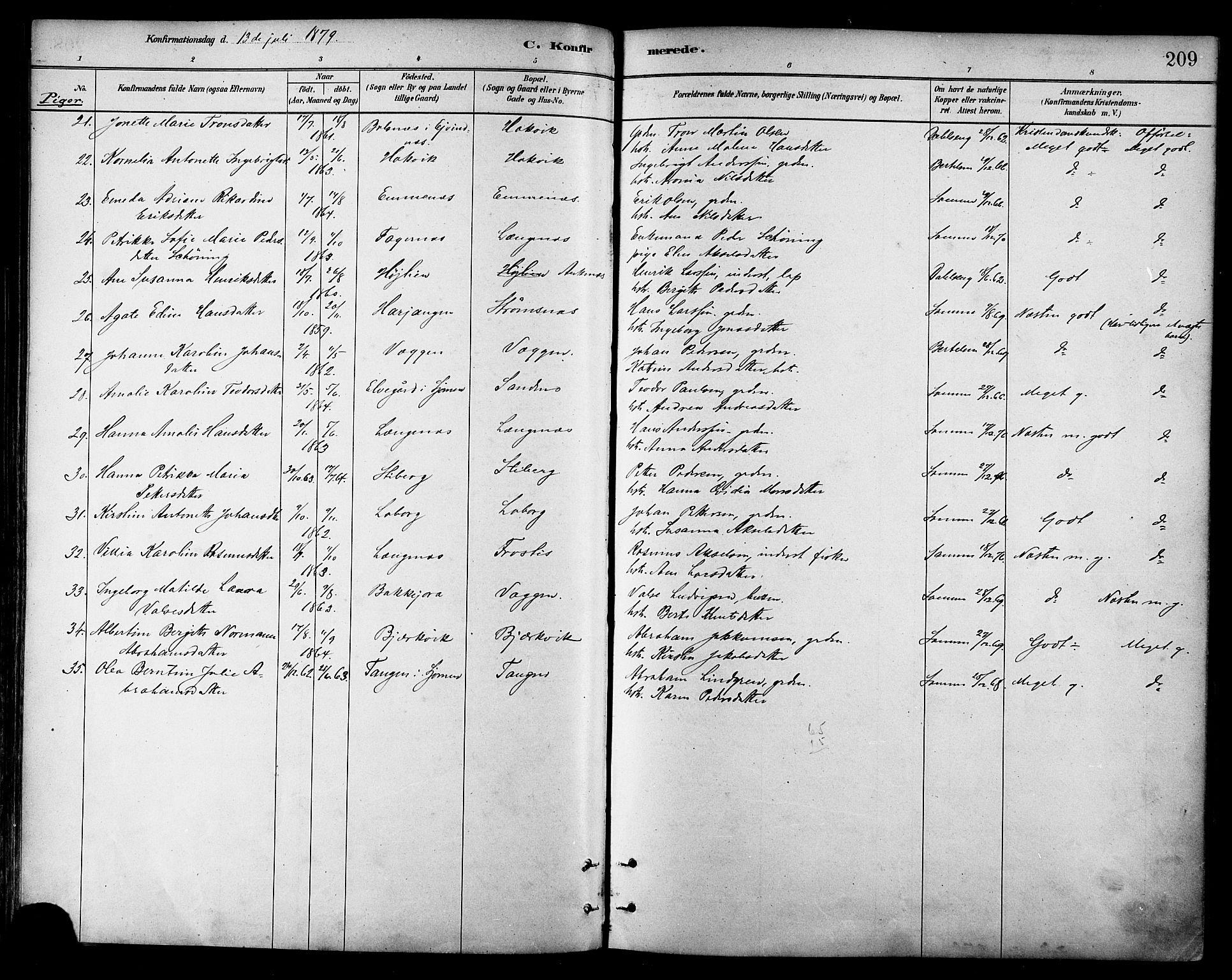 Ministerialprotokoller, klokkerbøker og fødselsregistre - Nordland, AV/SAT-A-1459/866/L0938: Parish register (official) no. 866A01, 1879-1893, p. 209