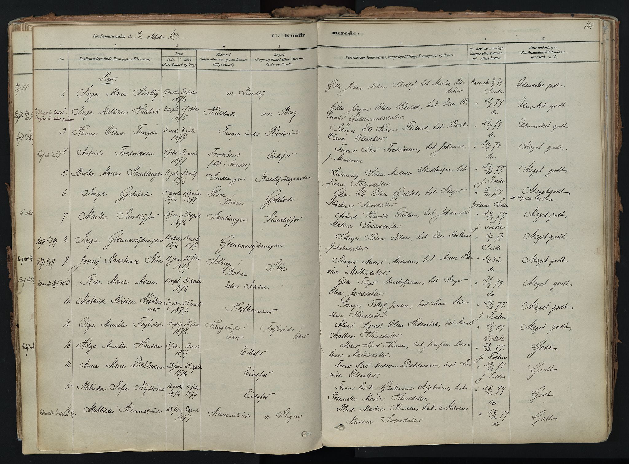 Hof kirkebøker, AV/SAKO-A-64/F/Fa/L0007: Parish register (official) no. I 7, 1878-1940, p. 164