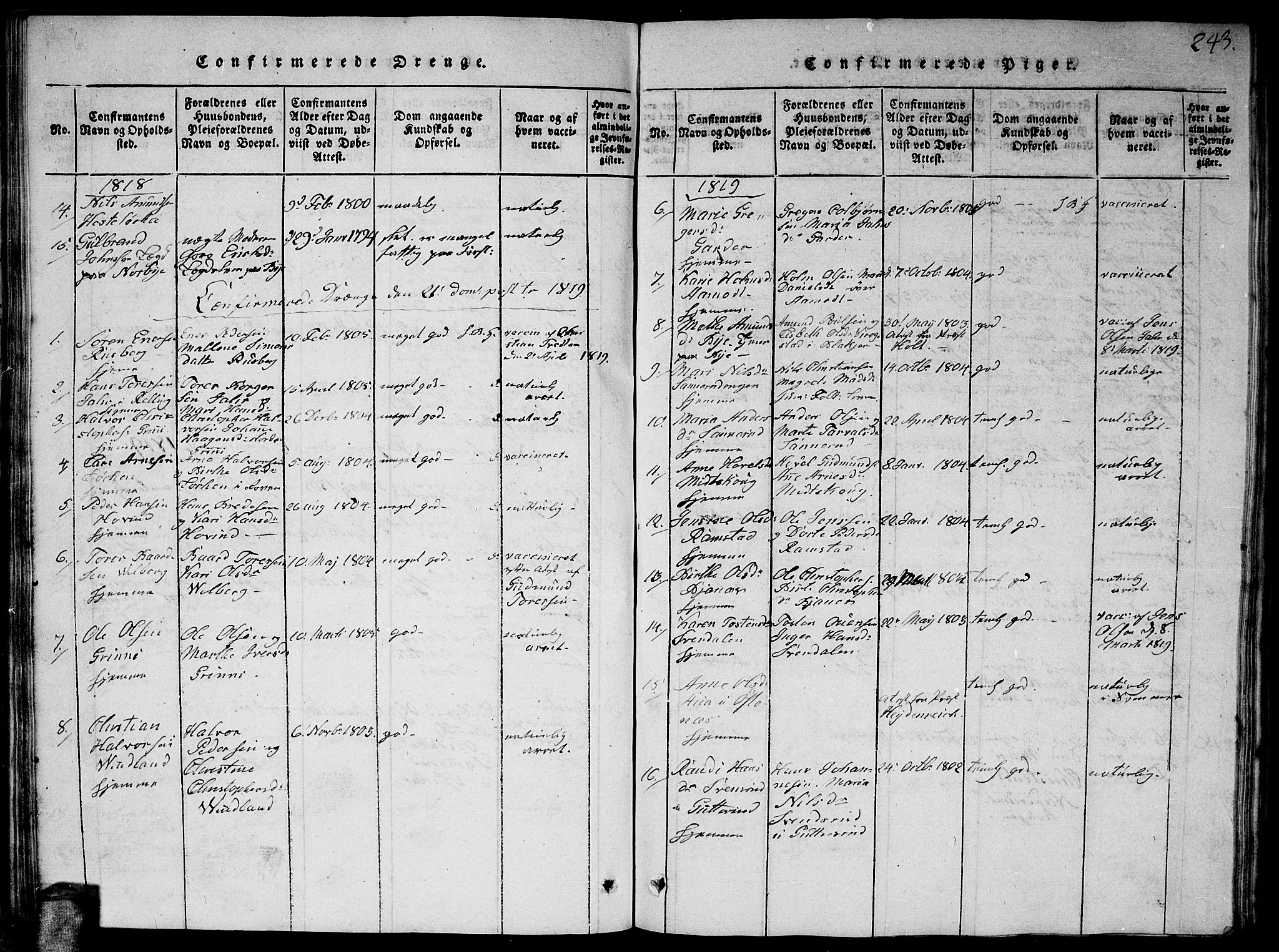 Fet prestekontor Kirkebøker, AV/SAO-A-10370a/G/Ga/L0001: Parish register (copy) no. I 1, 1815-1842, p. 243