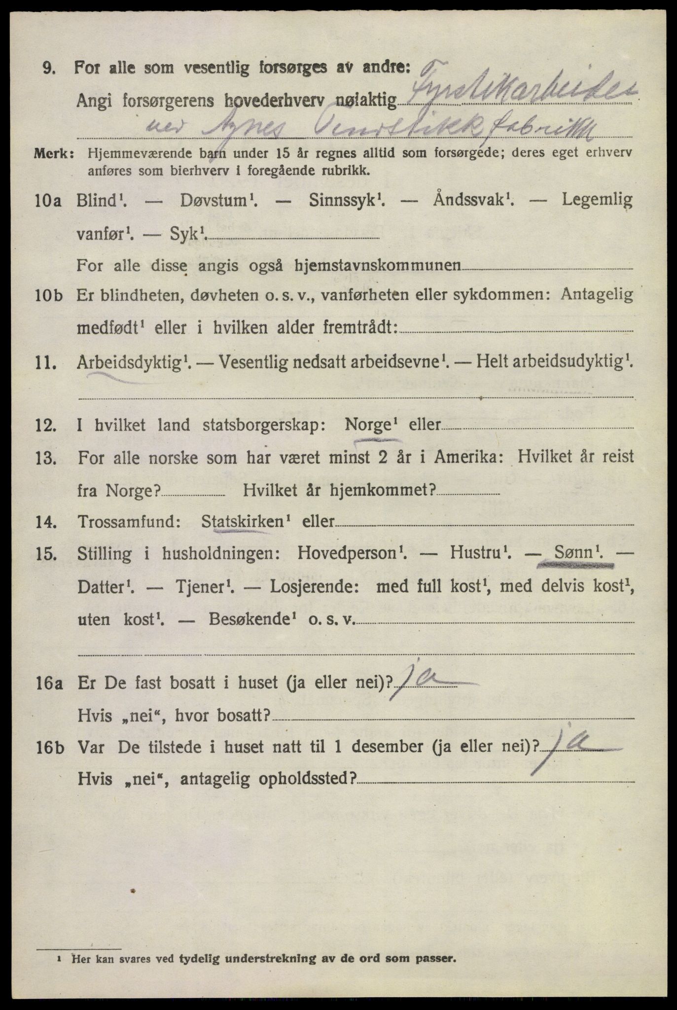 SAKO, 1920 census for Brunlanes, 1920, p. 6100