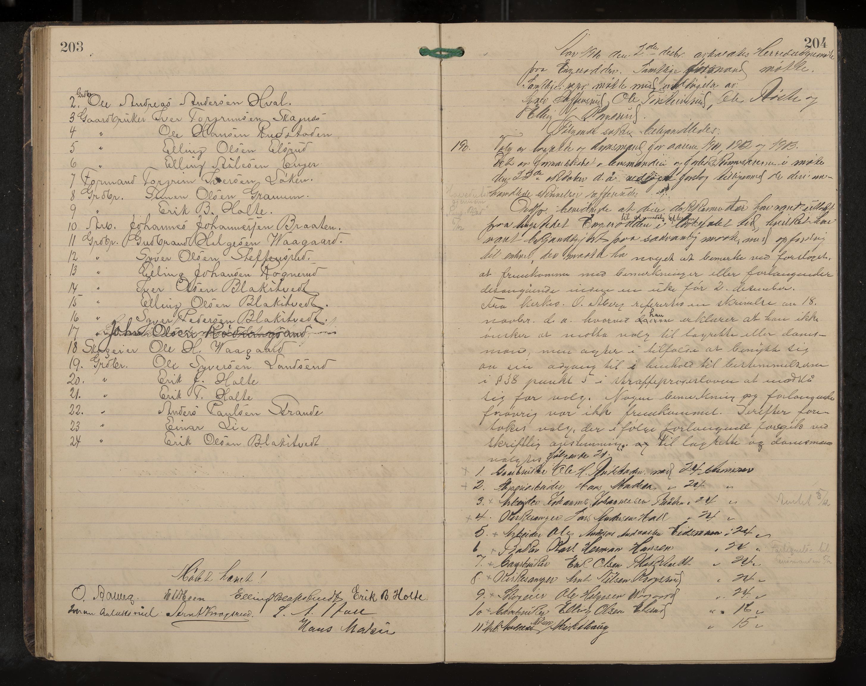 Ådal formannskap og sentraladministrasjon, IKAK/0614021/A/Aa/L0003: Møtebok, 1907-1914, p. 203-204