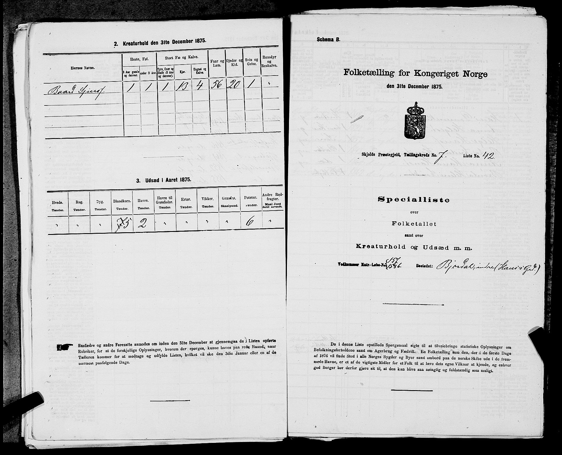 SAST, 1875 census for 1154P Skjold, 1875, p. 707