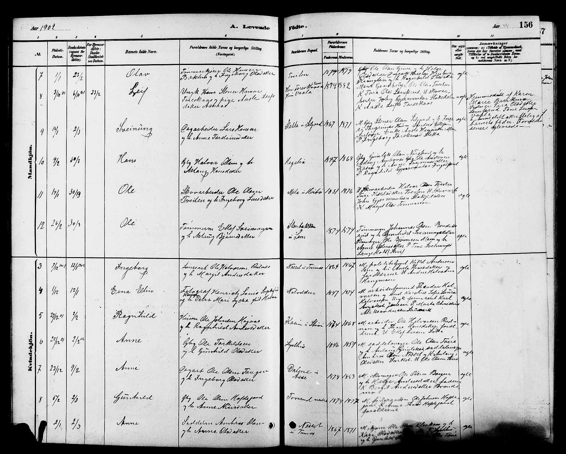 Heddal kirkebøker, SAKO/A-268/G/Ga/L0002: Parish register (copy) no. I 2, 1879-1908, p. 156