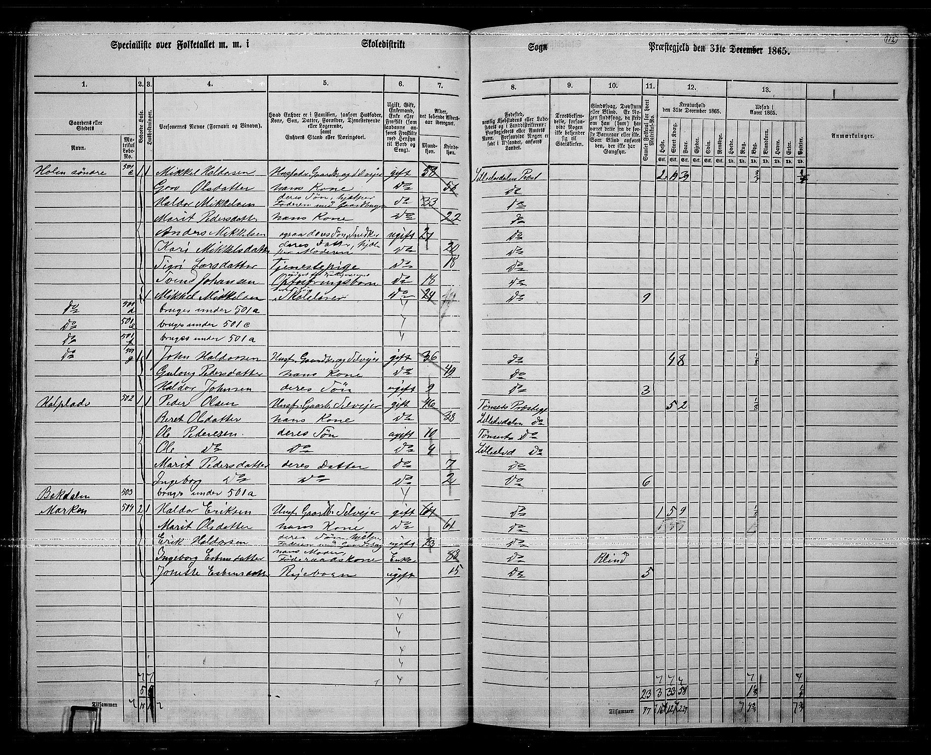 RA, 1865 census for Lille Elvedalen, 1865, p. 97