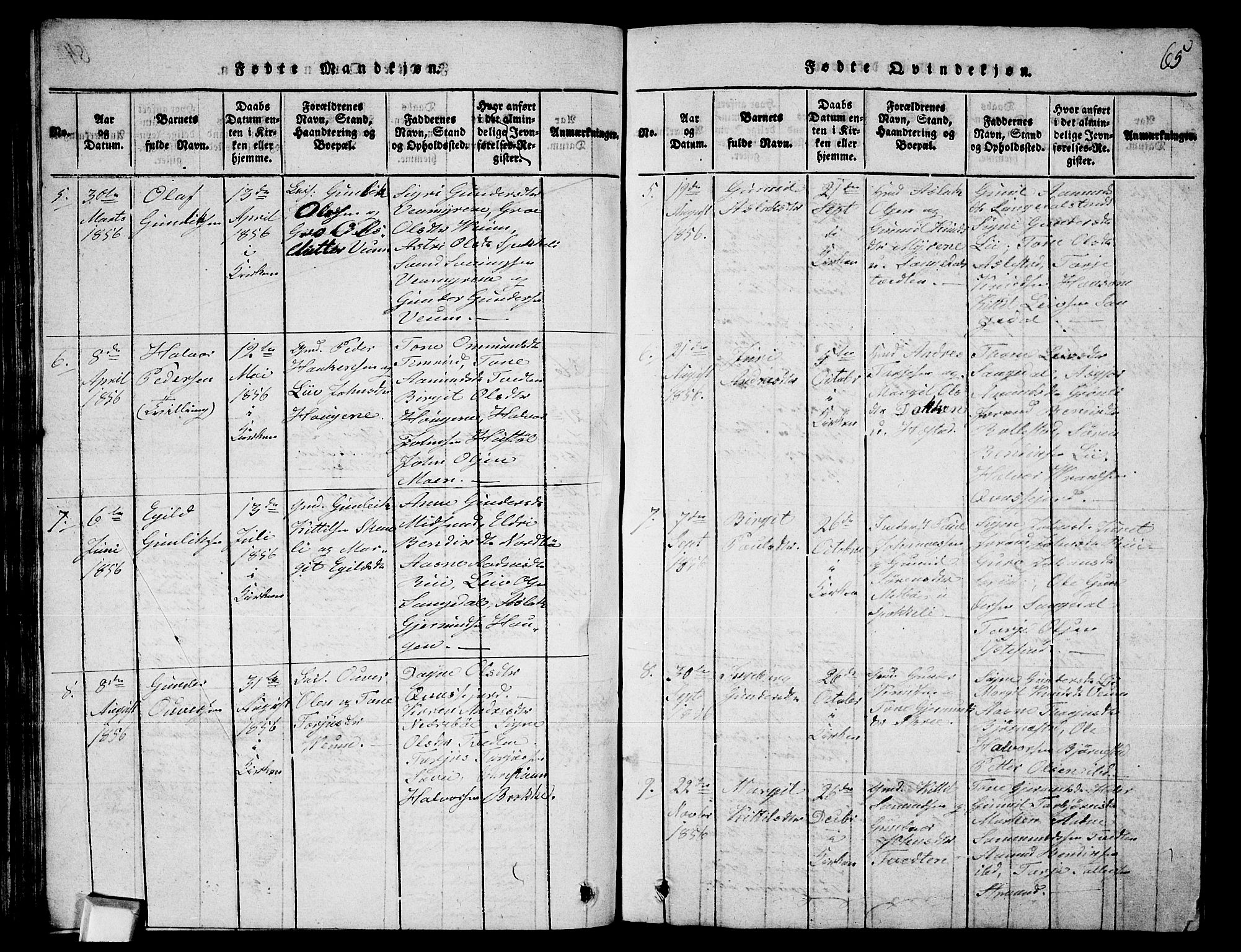 Fyresdal kirkebøker, SAKO/A-263/G/Ga/L0003: Parish register (copy) no. I 3, 1815-1863, p. 65