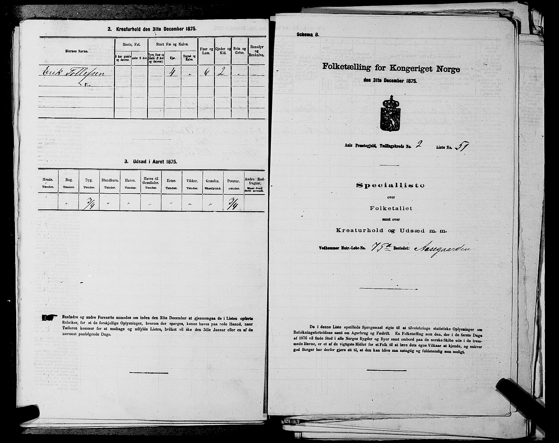 SAKO, 1875 census for 0619P Ål, 1875, p. 310