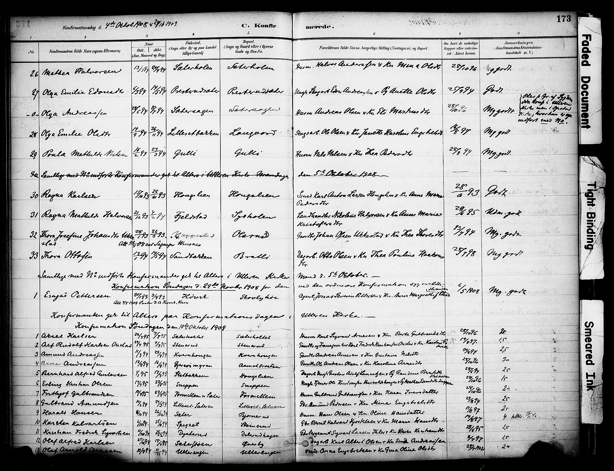 Sør-Odal prestekontor, SAH/PREST-030/H/Ha/Haa/L0008: Parish register (official) no. 8, 1886-1922, p. 173