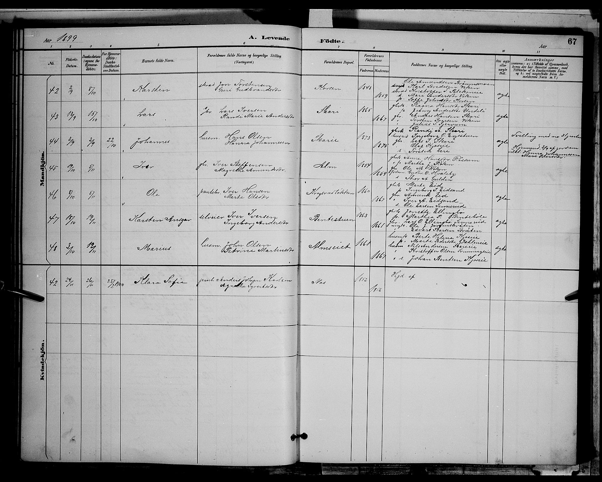 Gran prestekontor, AV/SAH-PREST-112/H/Ha/Hab/L0004: Parish register (copy) no. 4, 1890-1899, p. 67