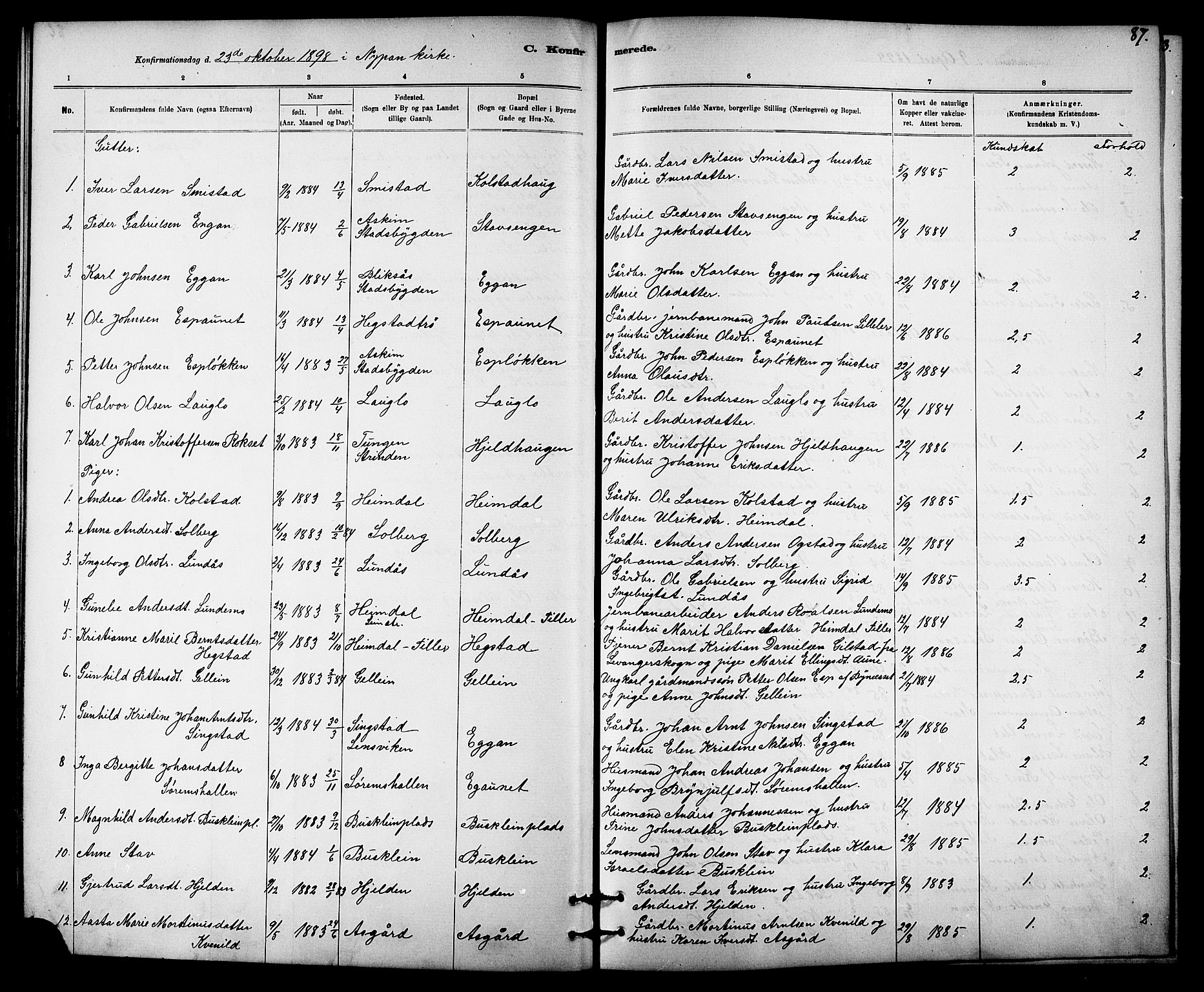 Ministerialprotokoller, klokkerbøker og fødselsregistre - Sør-Trøndelag, SAT/A-1456/613/L0395: Parish register (copy) no. 613C03, 1887-1909, p. 87