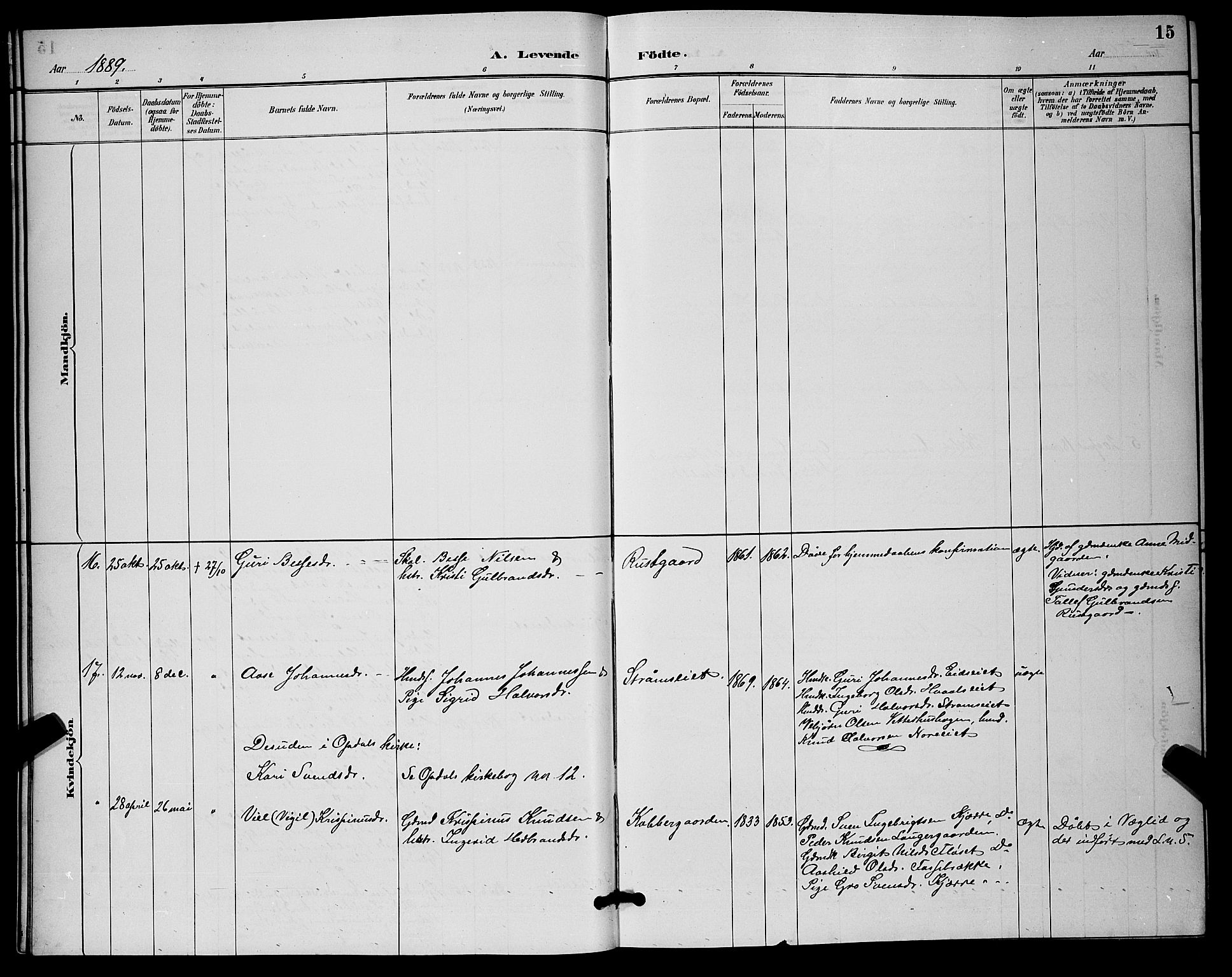 Nore kirkebøker, AV/SAKO-A-238/G/Ga/L0003: Parish register (copy) no. I 3, 1886-1903, p. 15