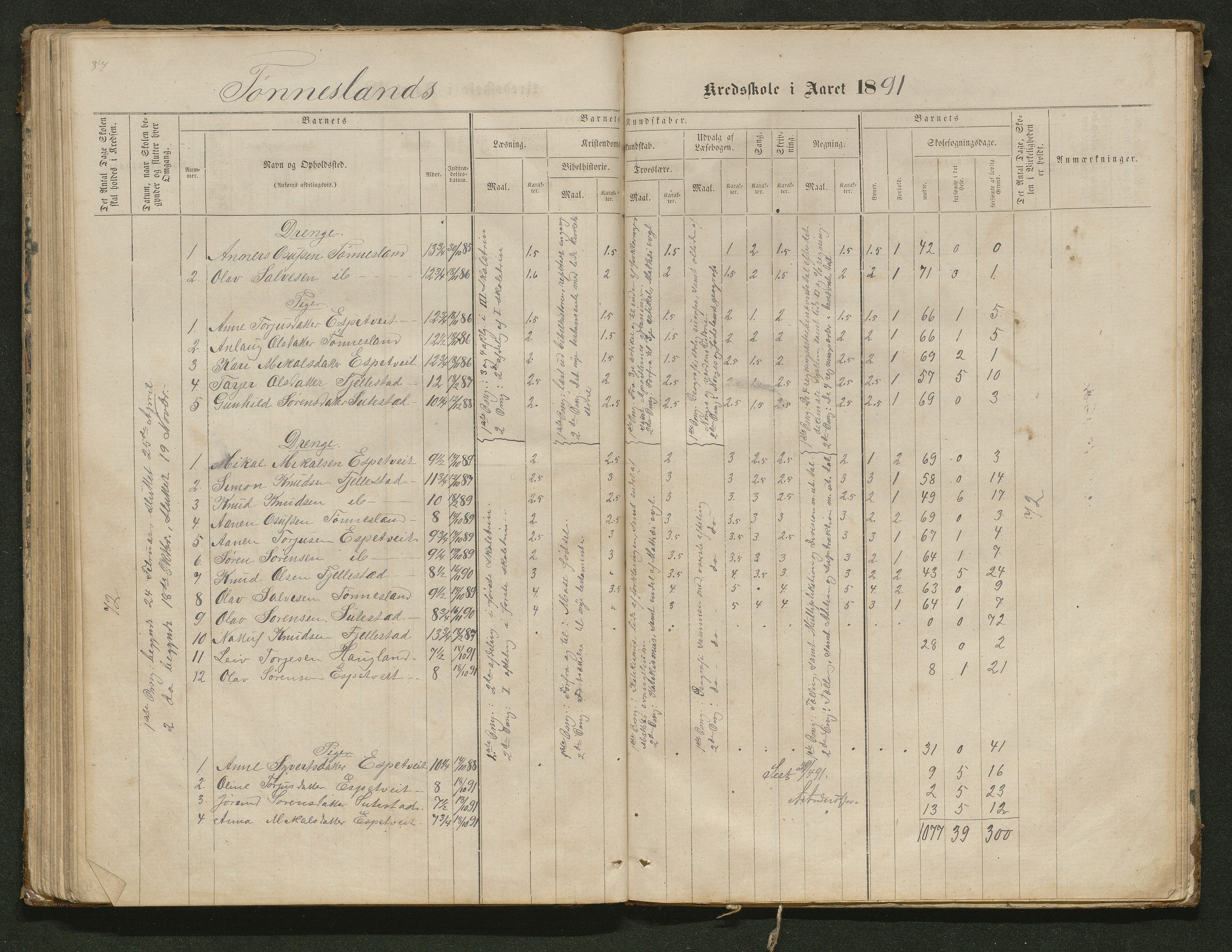 Hornnes kommune, Tønnesvold, Abusland skolekretser, AAKS/KA0936-550g/F1/L0001: Skoleprotokoll Abusland, Tønnesvold, 1864-1896, p. 84