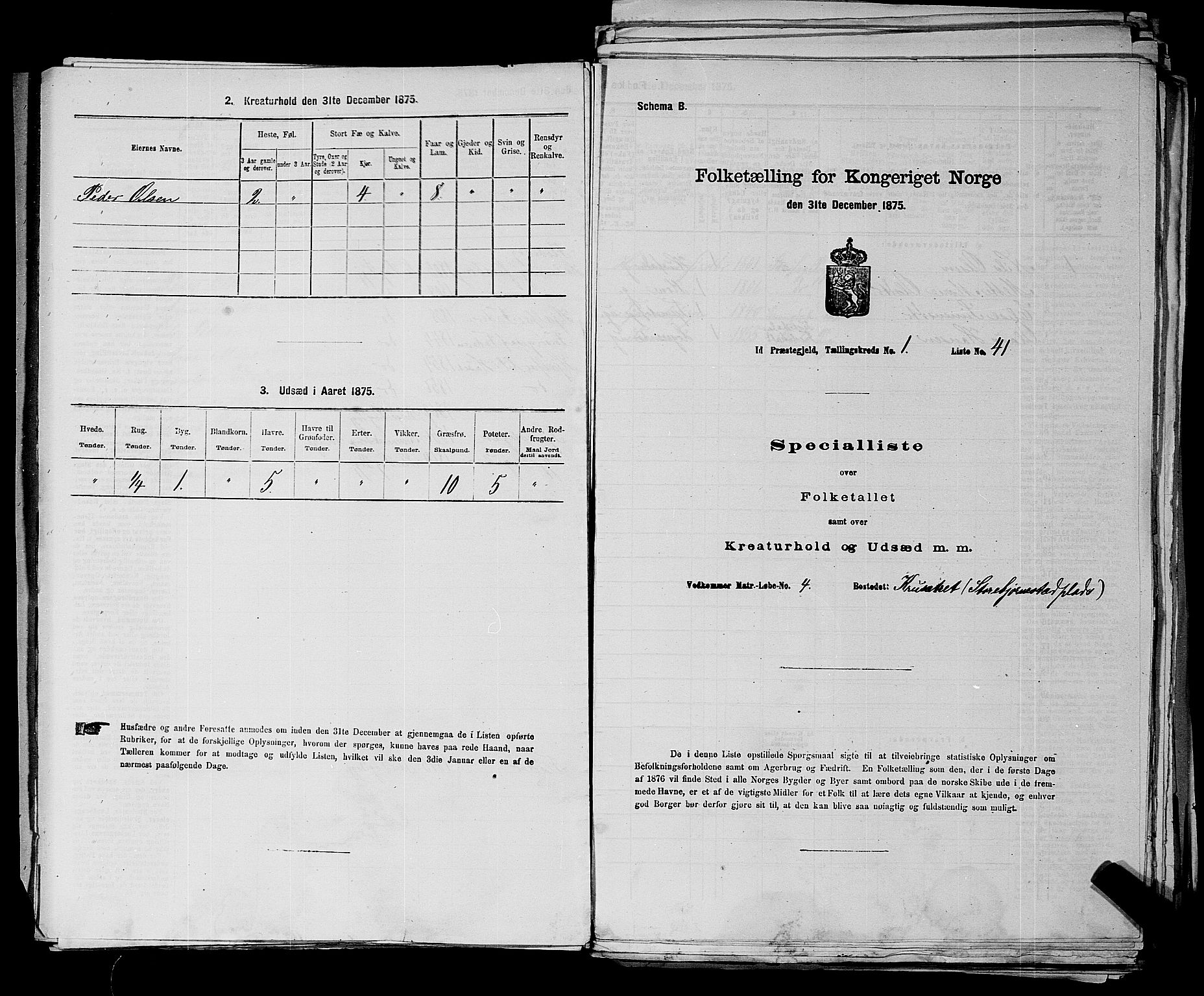 RA, 1875 census for 0117P Idd, 1875, p. 52