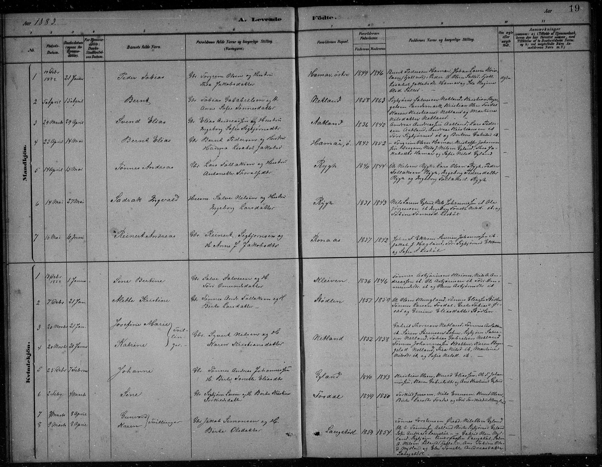 Bakke sokneprestkontor, SAK/1111-0002/F/Fb/Fbb/L0003: Parish register (copy) no. B 3, 1878-1896, p. 19