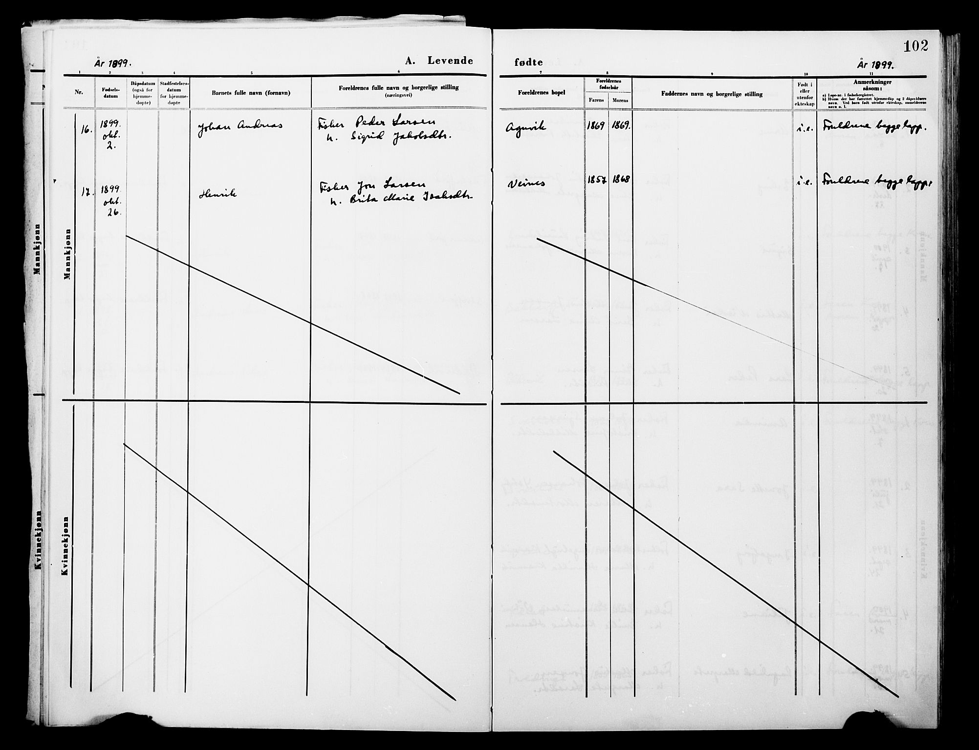 Lebesby sokneprestkontor, AV/SATØ-S-1353/H/Ha/L0004kirke: Parish register (official) no. 4, 1870-1902, p. 102