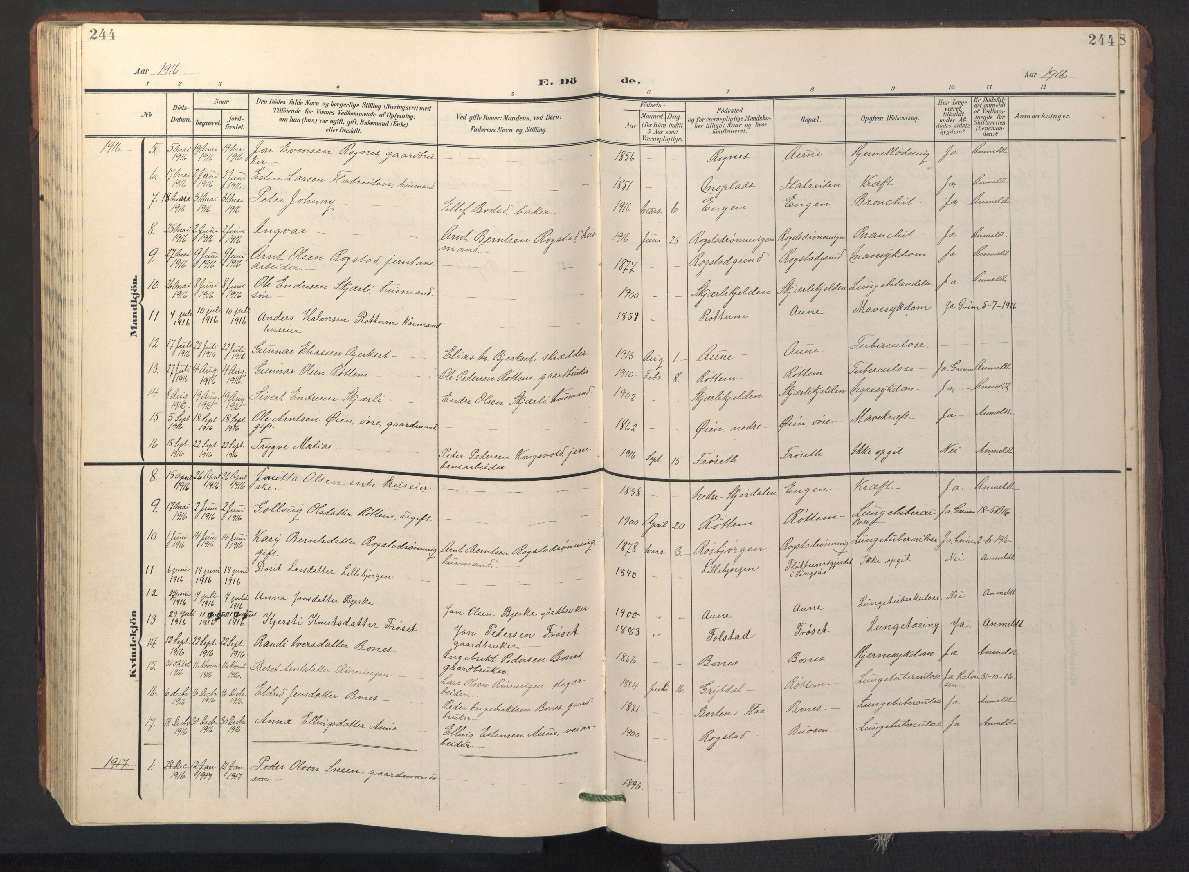 Ministerialprotokoller, klokkerbøker og fødselsregistre - Sør-Trøndelag, SAT/A-1456/687/L1019: Parish register (copy) no. 687C03, 1904-1931, p. 244