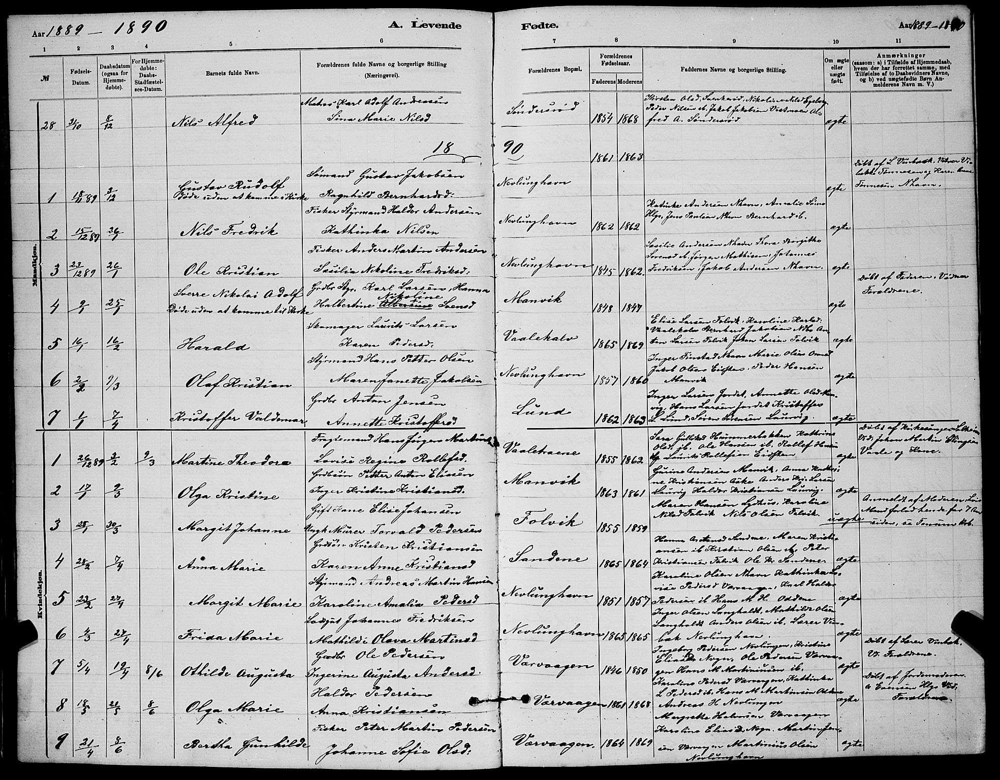 Brunlanes kirkebøker, AV/SAKO-A-342/G/Gb/L0002: Parish register (copy) no. II 2, 1878-1902