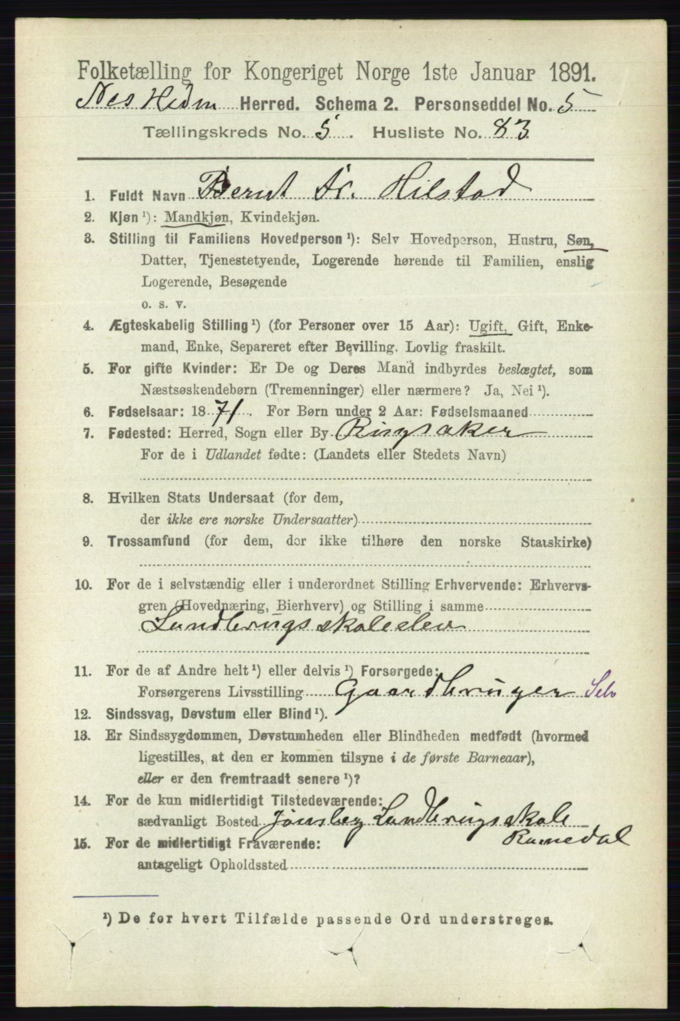 RA, 1891 census for 0411 Nes, 1891, p. 3143