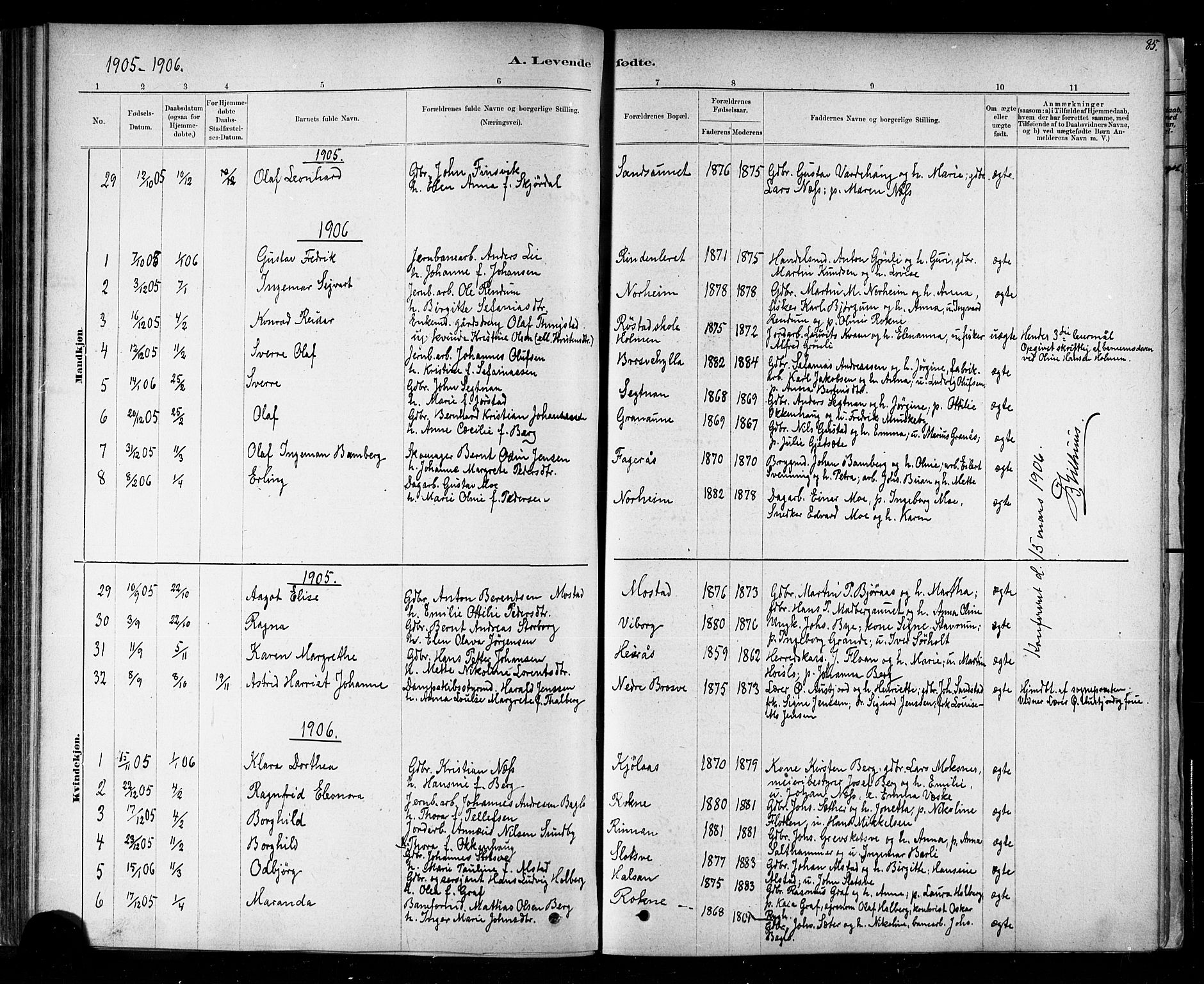 Ministerialprotokoller, klokkerbøker og fødselsregistre - Nord-Trøndelag, SAT/A-1458/721/L0208: Parish register (copy) no. 721C01, 1880-1917, p. 85