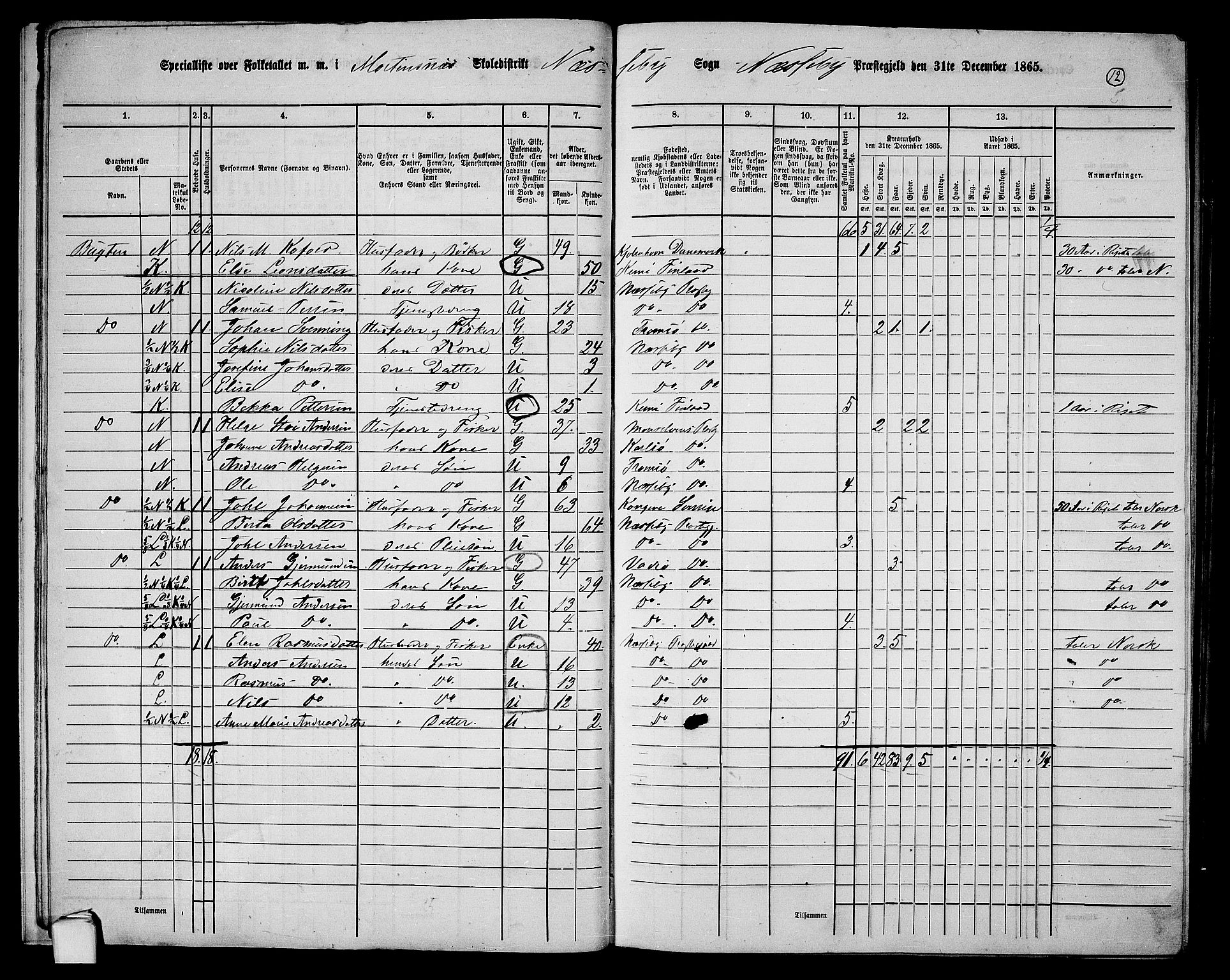 RA, 1865 census for Nesseby, 1865, p. 12