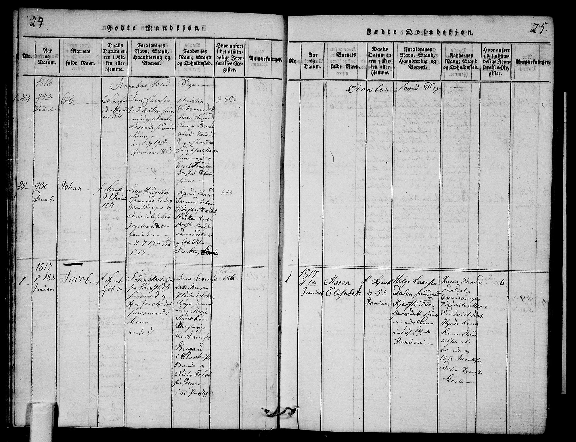 Andebu kirkebøker, AV/SAKO-A-336/G/Ga/L0001: Parish register (copy) no. I 1 /1, 1815-1823, p. 24-25