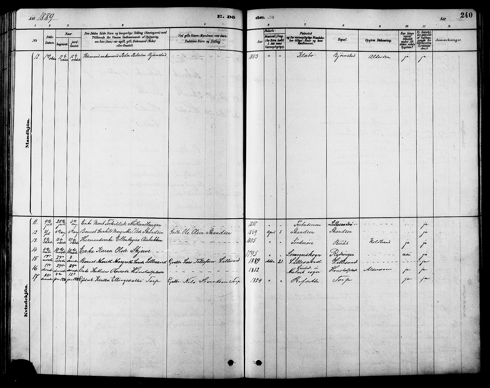 Ministerialprotokoller, klokkerbøker og fødselsregistre - Sør-Trøndelag, AV/SAT-A-1456/616/L0423: Parish register (copy) no. 616C06, 1878-1903, p. 240