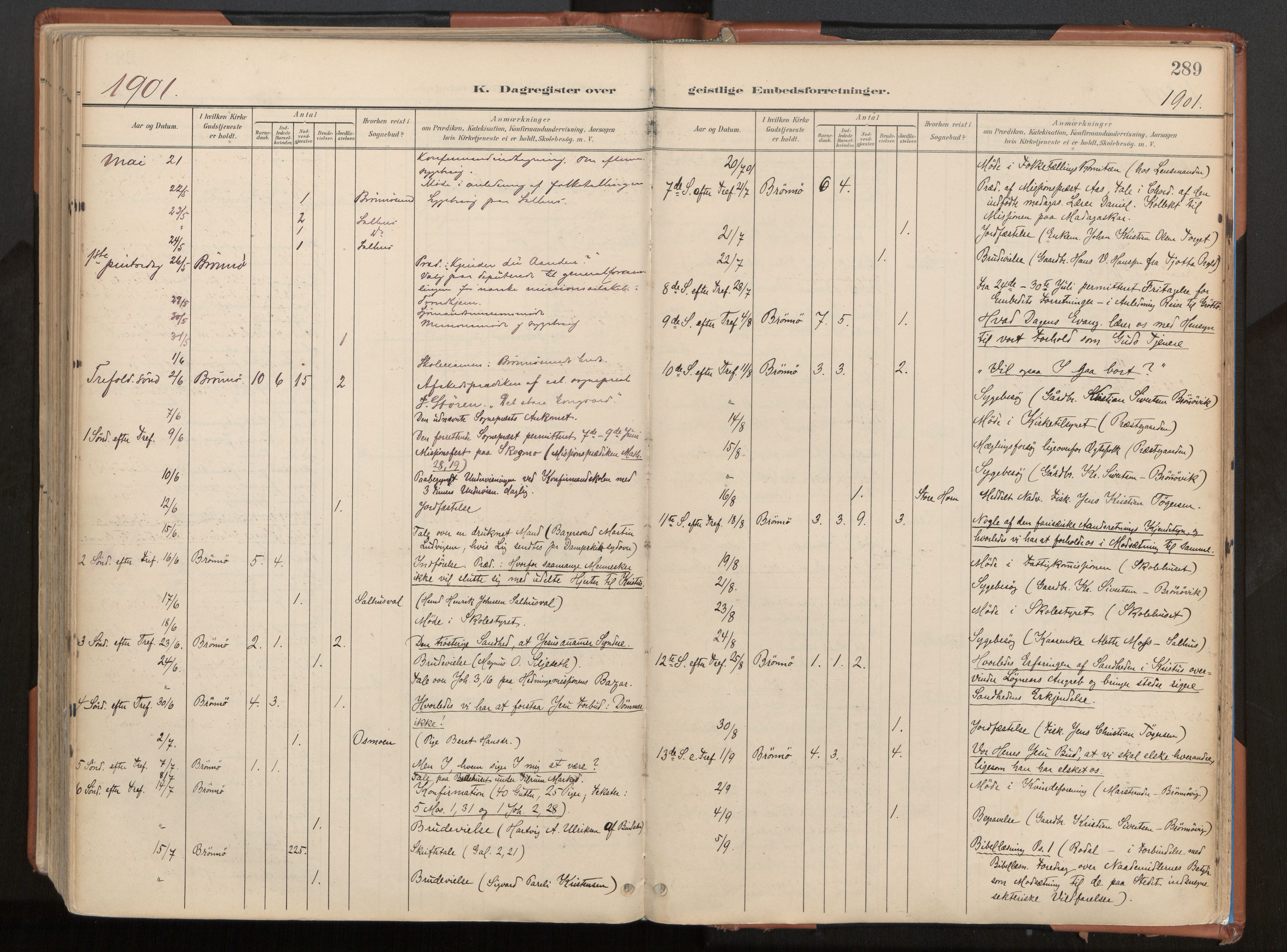 Ministerialprotokoller, klokkerbøker og fødselsregistre - Nordland, AV/SAT-A-1459/813/L0201: Parish register (official) no. 813A11, 1901-1918, p. 289