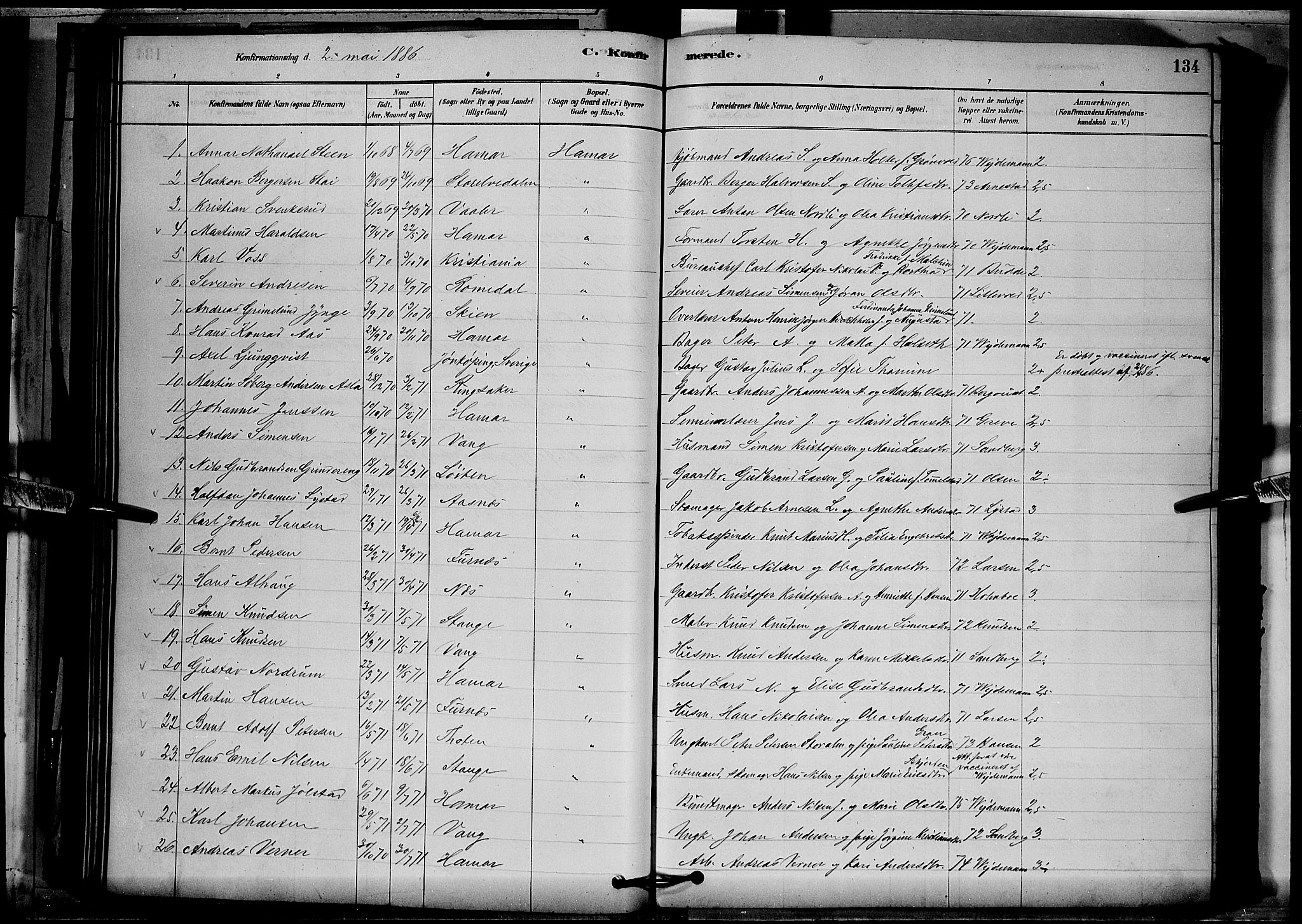 Vang prestekontor, Hedmark, SAH/PREST-008/H/Ha/Hab/L0012: Parish register (copy) no. 12, 1878-1889, p. 134