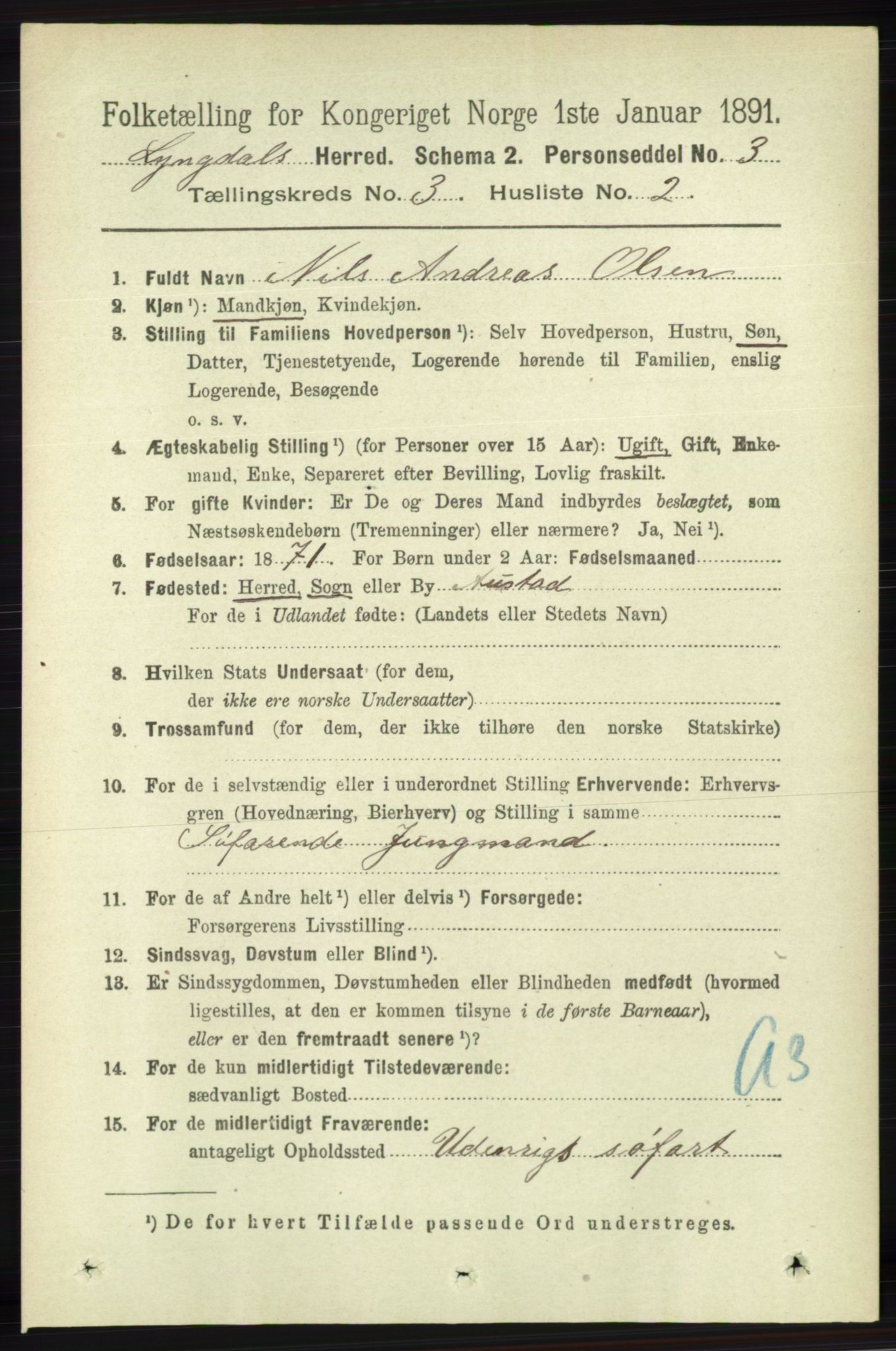 RA, 1891 census for 1032 Lyngdal, 1891, p. 1091