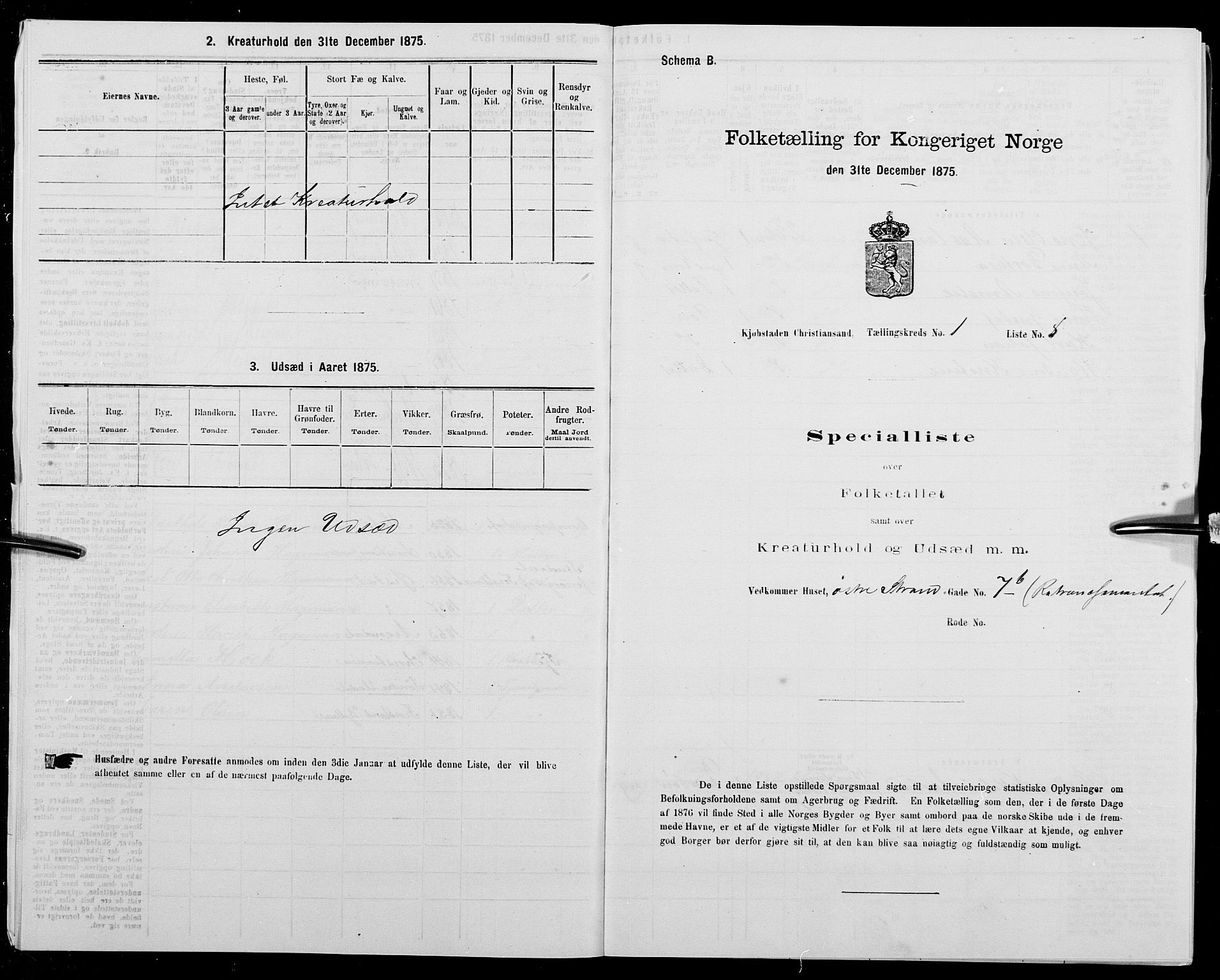 SAK, 1875 census for 1001P Kristiansand, 1875, p. 32