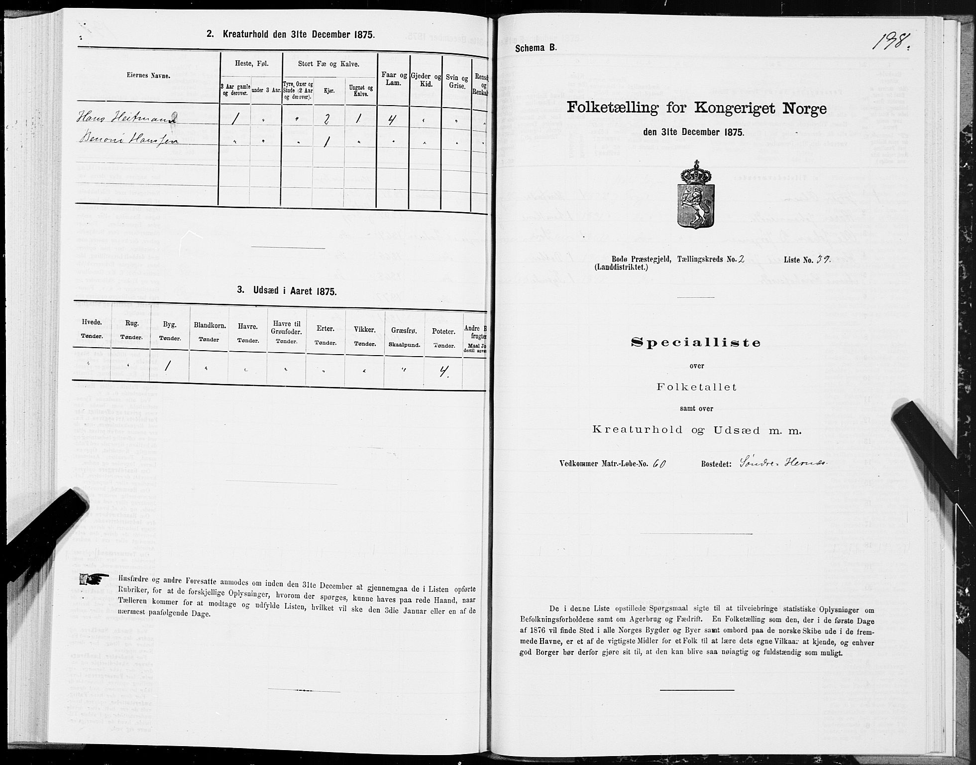 SAT, 1875 census for 1843L Bodø/Bodø, 1875, p. 1198