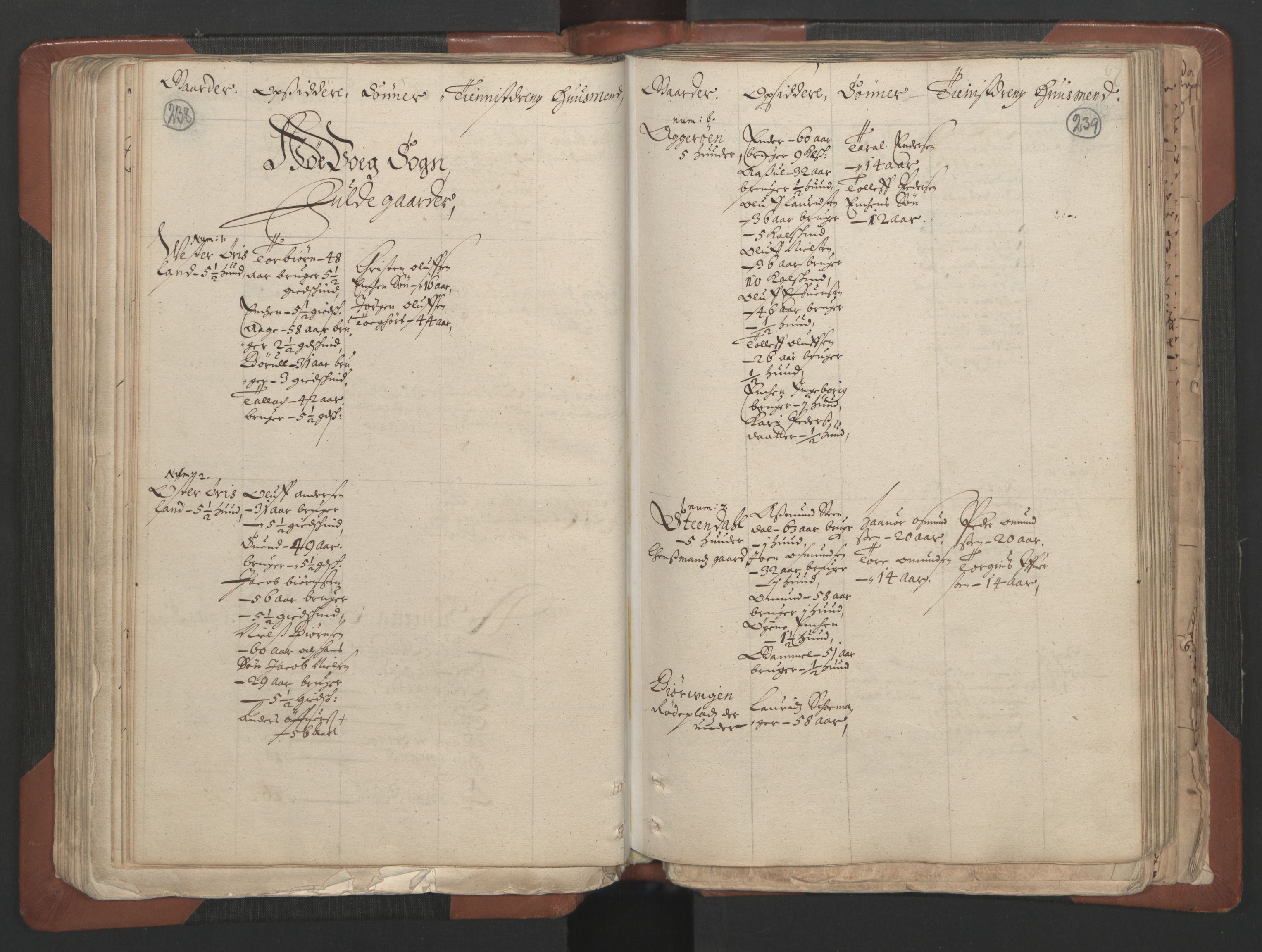 RA, Bailiff's Census 1664-1666, no. 7: Nedenes fogderi, 1664-1666, p. 238-239