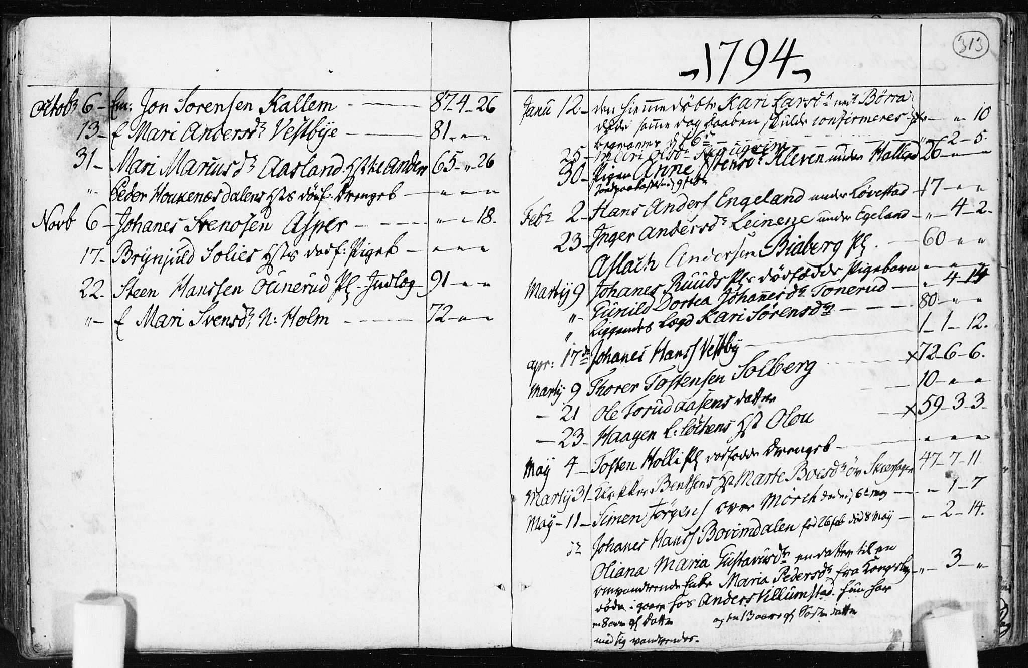 Spydeberg prestekontor Kirkebøker, AV/SAO-A-10924/F/Fa/L0003: Parish register (official) no. I 3, 1778-1814, p. 313