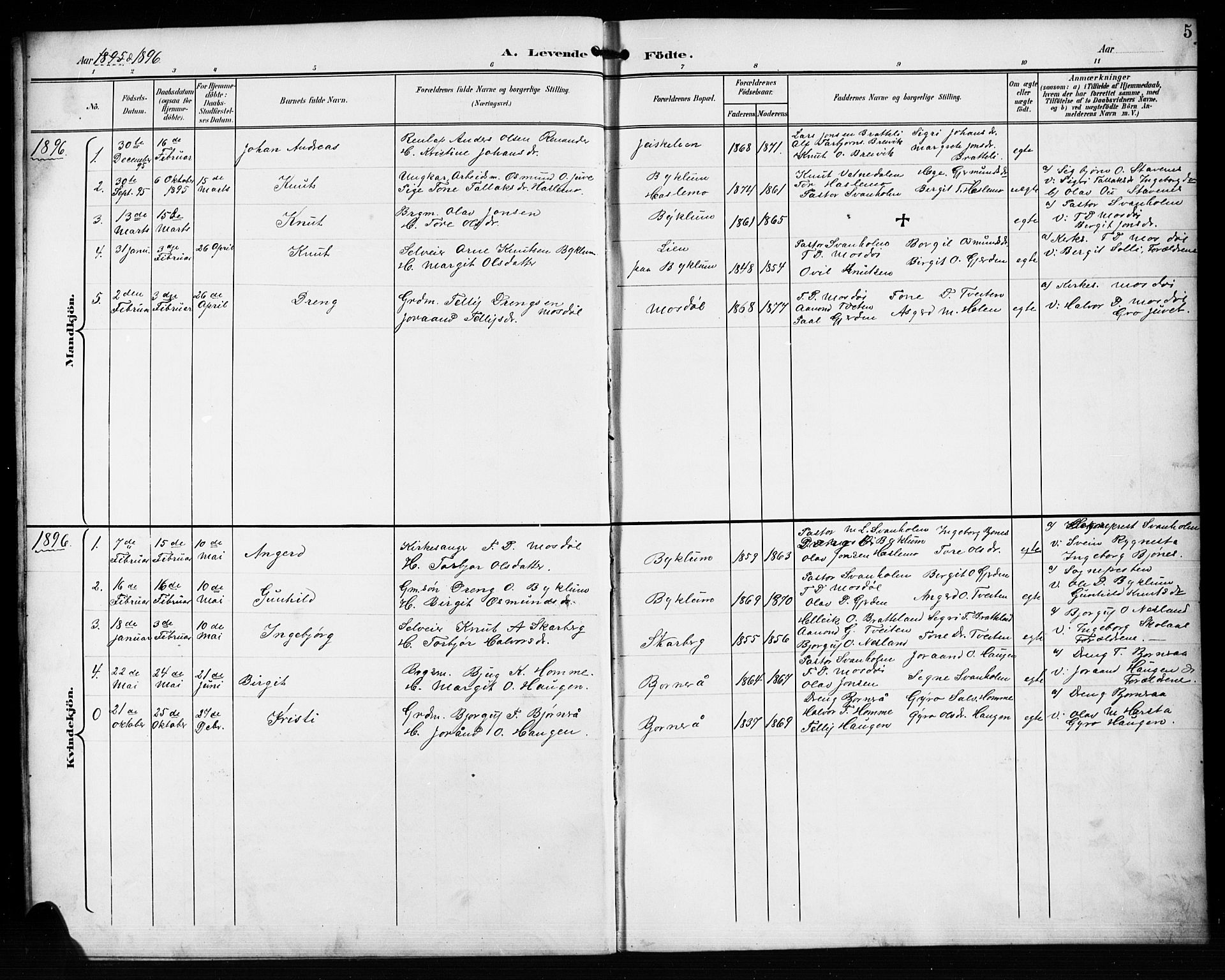 Valle sokneprestkontor, AV/SAK-1111-0044/F/Fb/Fba/L0003: Parish register (copy) no. B 3, 1895-1916, p. 5