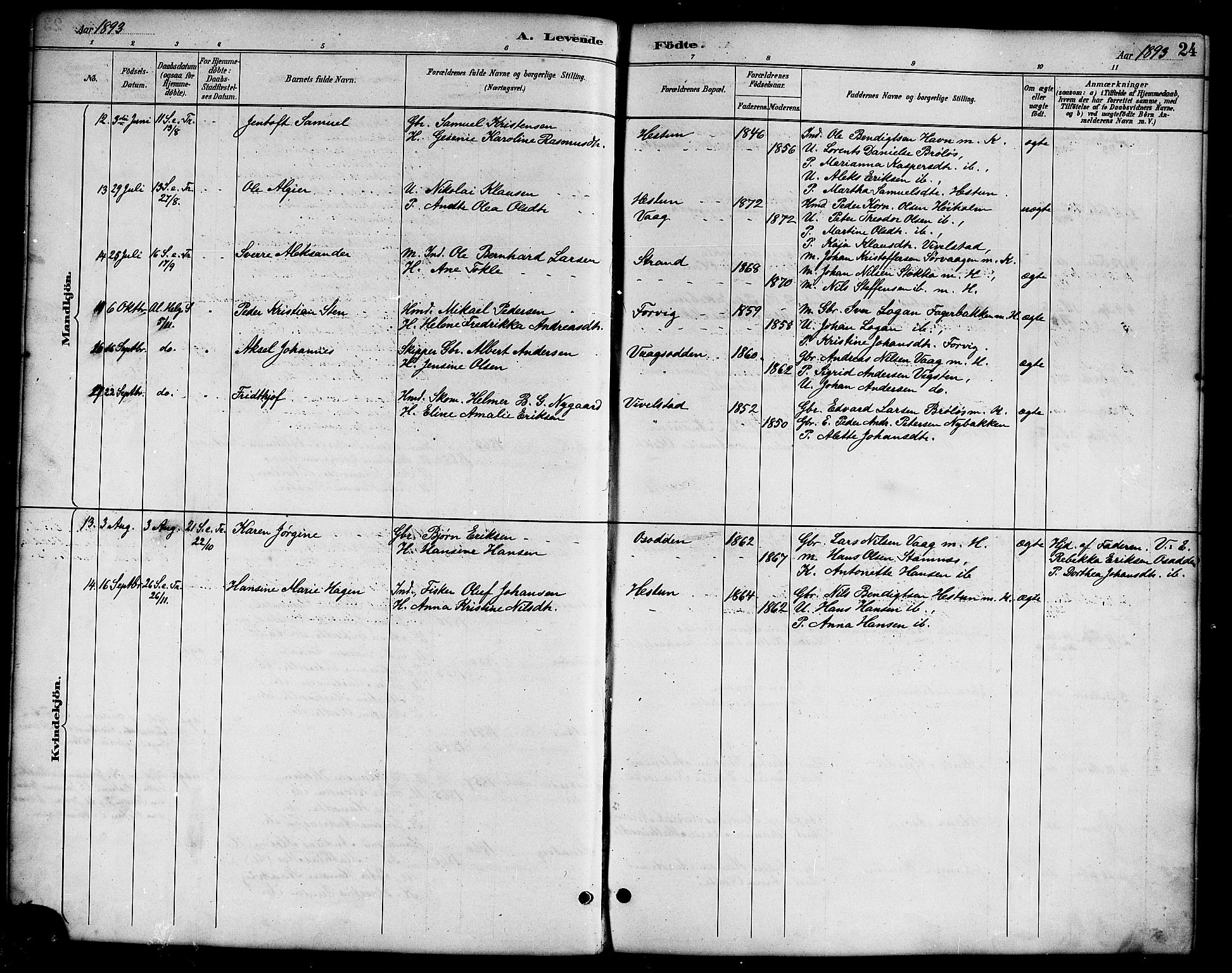 Ministerialprotokoller, klokkerbøker og fødselsregistre - Nordland, AV/SAT-A-1459/819/L0277: Parish register (copy) no. 819C03, 1888-1917, p. 24