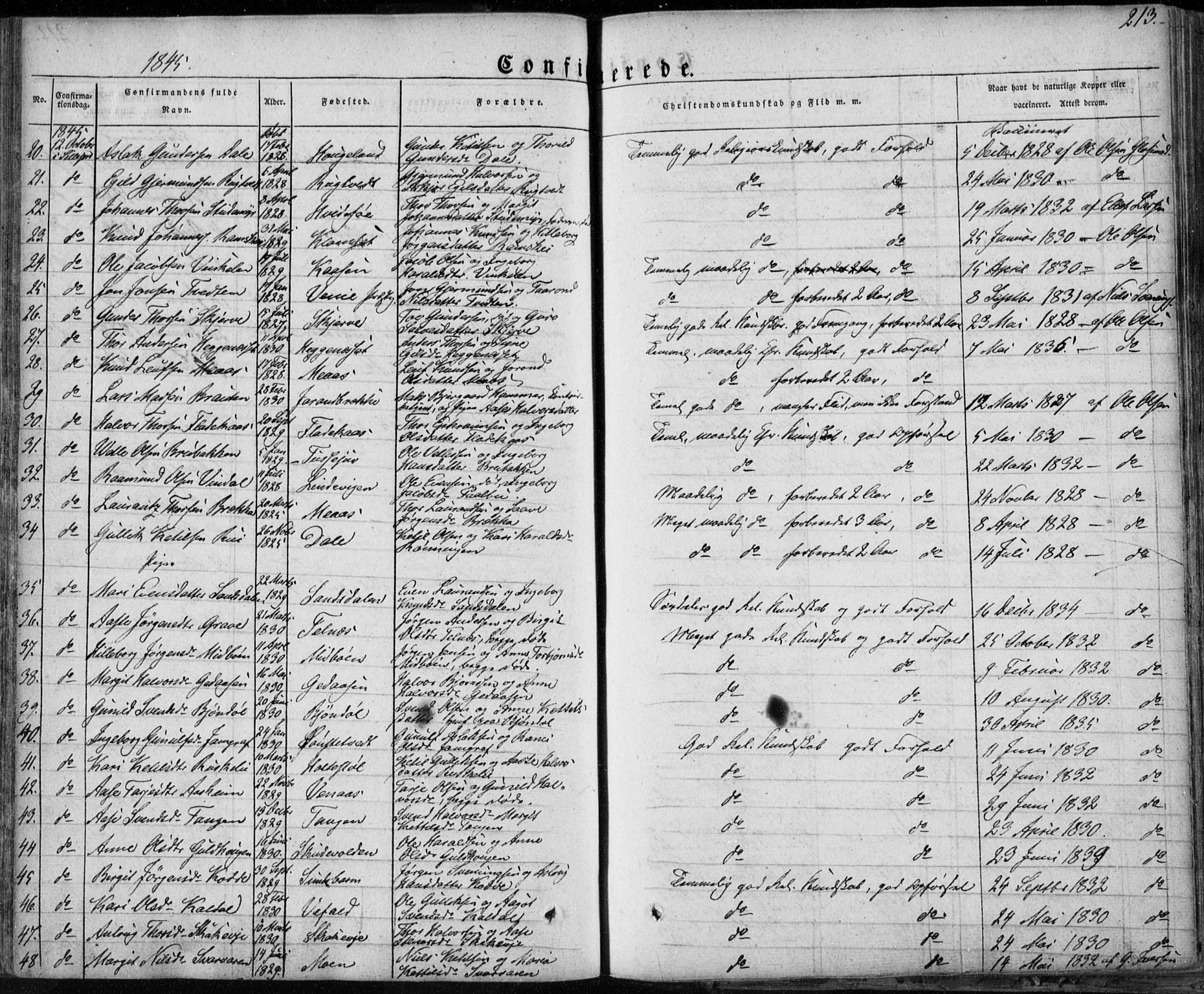Seljord kirkebøker, SAKO/A-20/F/Fa/L0011: Parish register (official) no. I 11, 1831-1849, p. 213