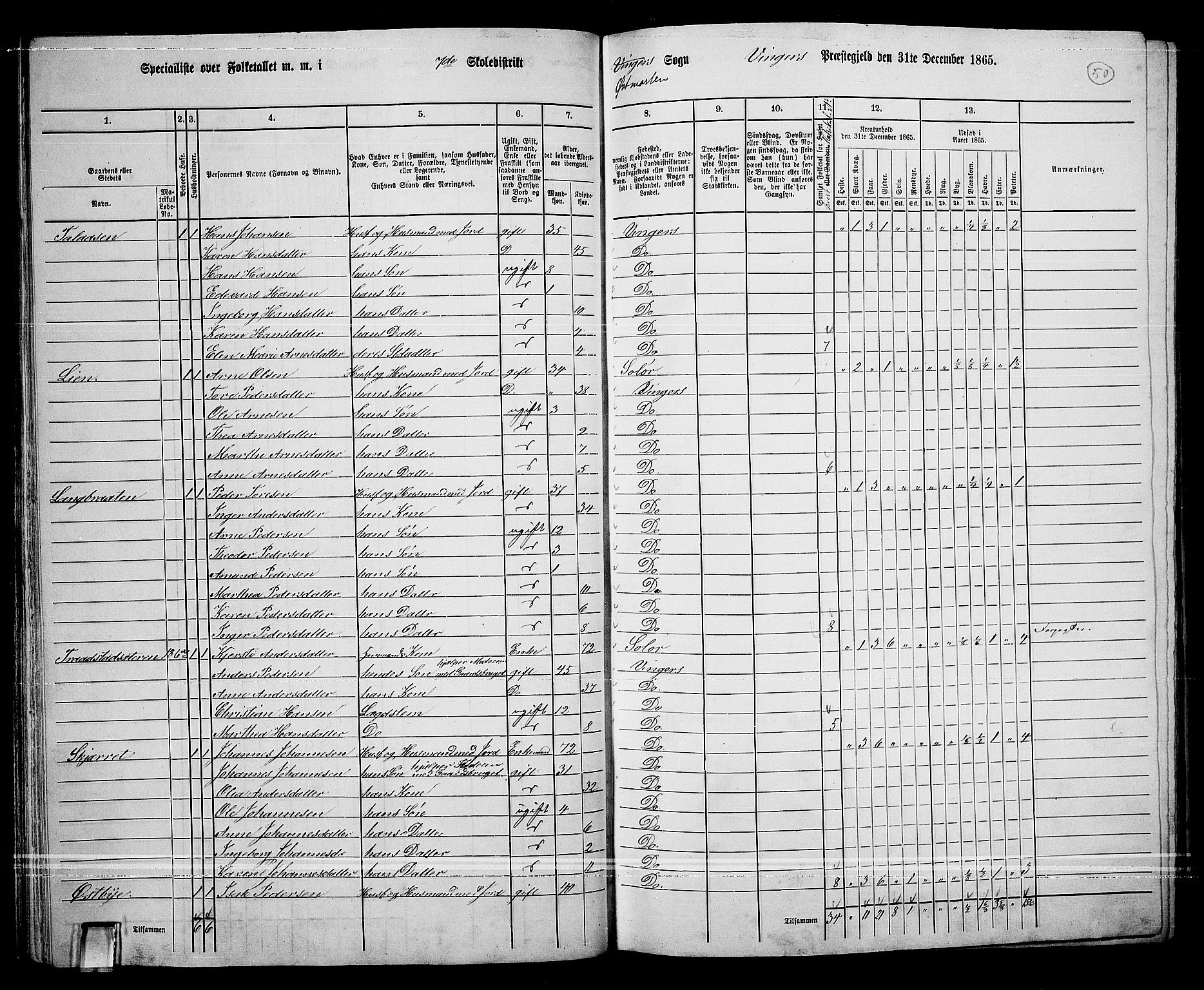 RA, 1865 census for Vinger/Vinger og Austmarka, 1865, p. 47