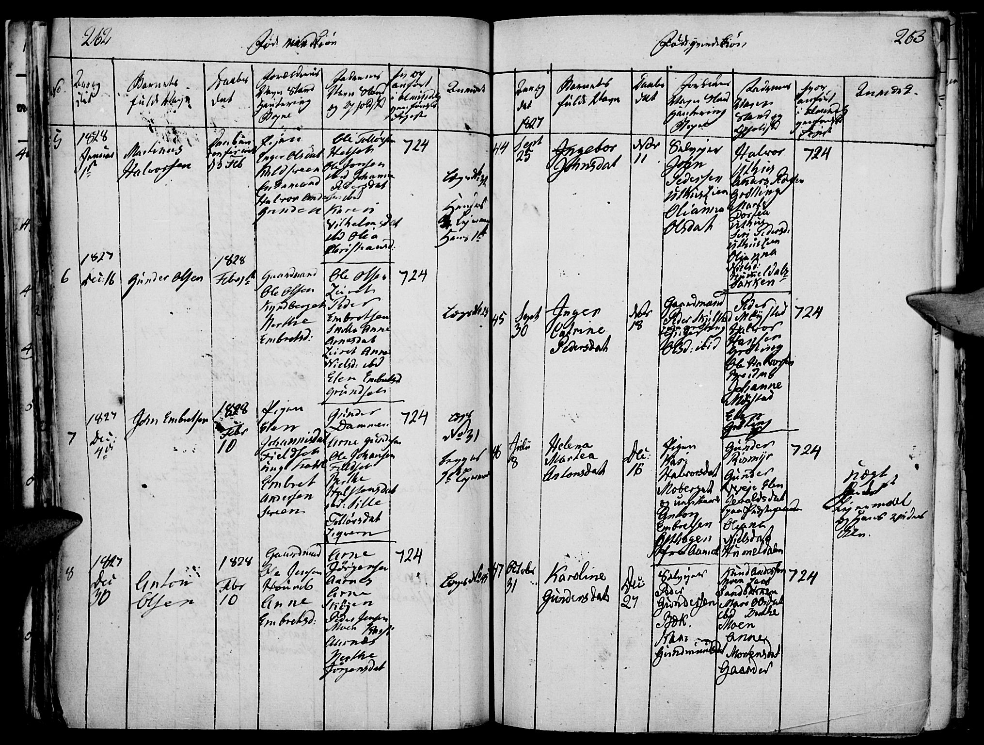 Elverum prestekontor, AV/SAH-PREST-044/H/Ha/Haa/L0007: Parish register (official) no. 7, 1815-1830, p. 262-263