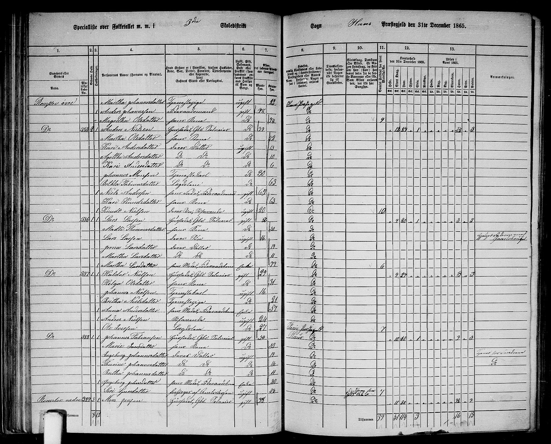 RA, 1865 census for Haus, 1865, p. 66