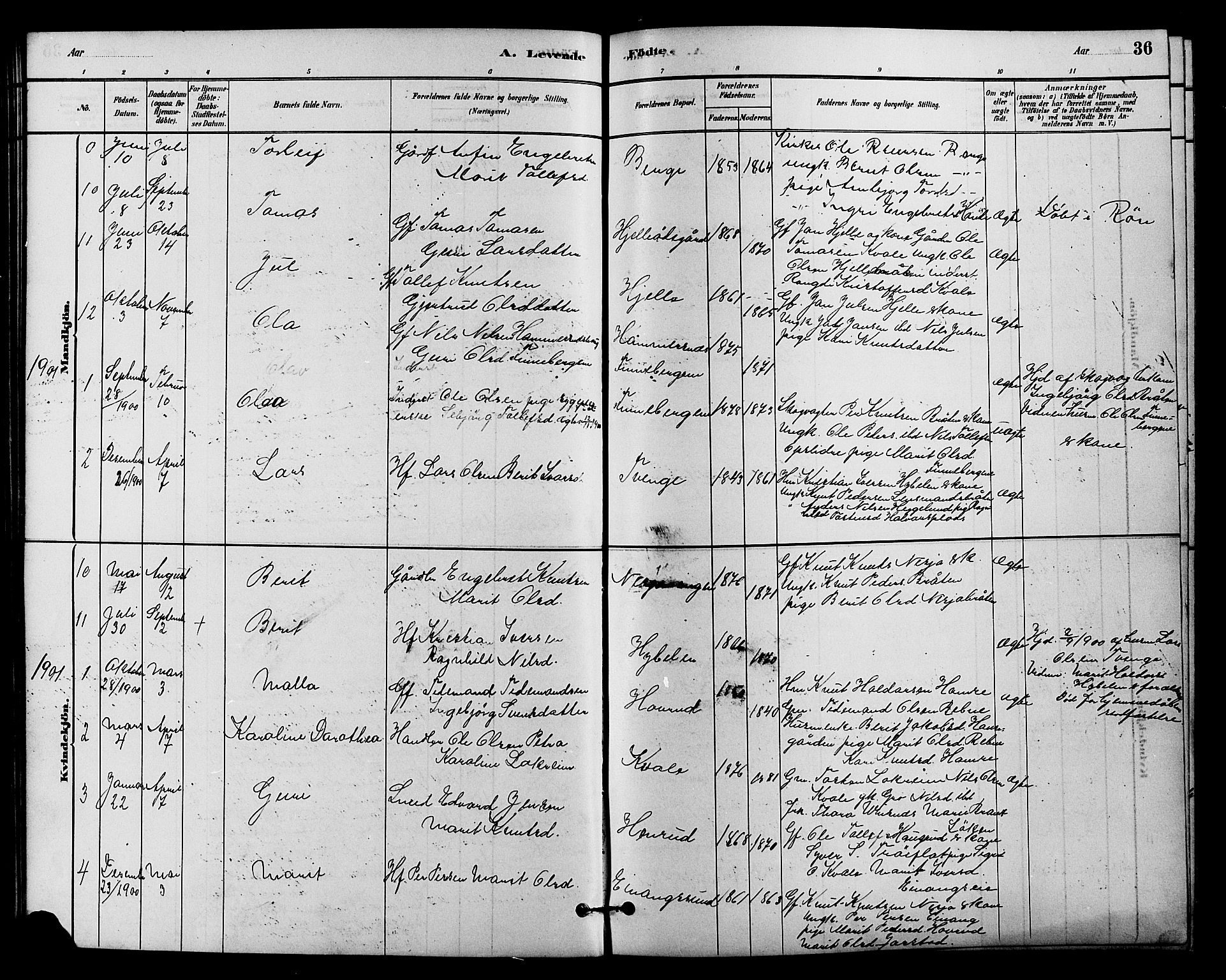 Vestre Slidre prestekontor, SAH/PREST-136/H/Ha/Hab/L0004: Parish register (copy) no. 4, 1881-1912, p. 36