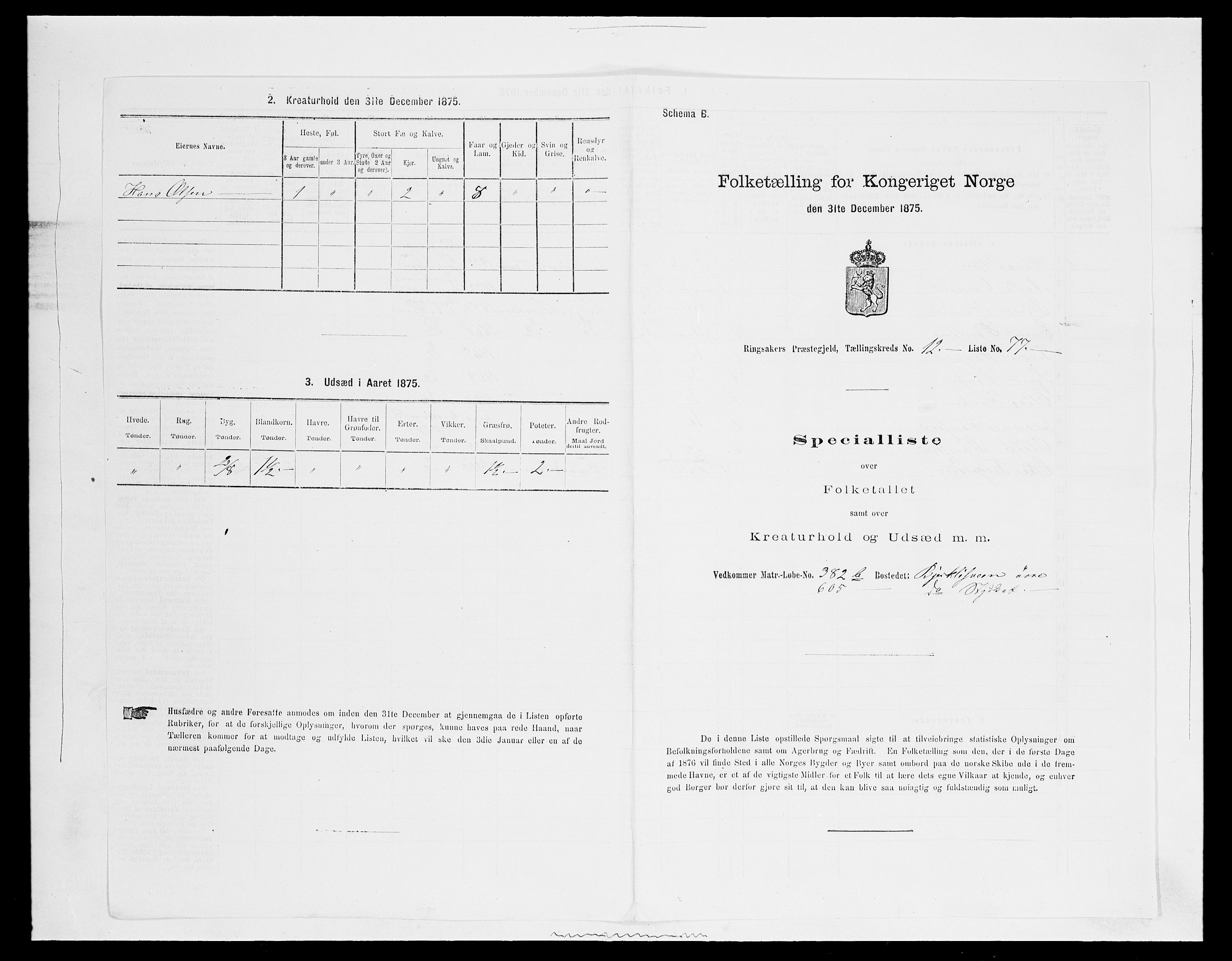 SAH, 1875 census for 0412P Ringsaker, 1875, p. 2562