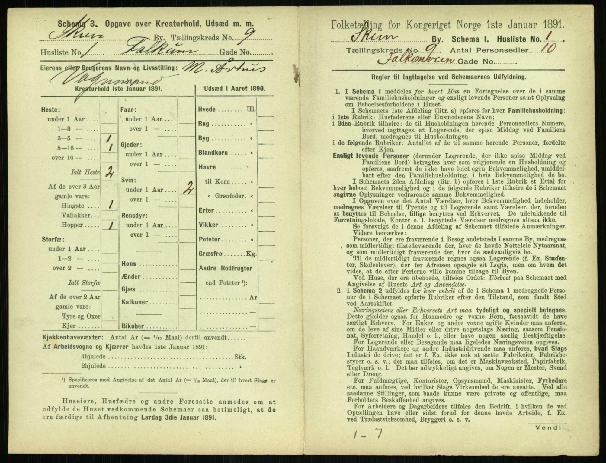 RA, 1891 census for 0806 Skien, 1891, p. 388