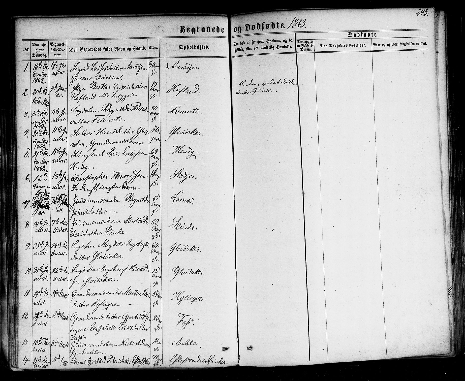 Sogndal sokneprestembete, SAB/A-81301/H/Haa/Haaa/L0013: Parish register (official) no. A 13, 1859-1877, p. 243