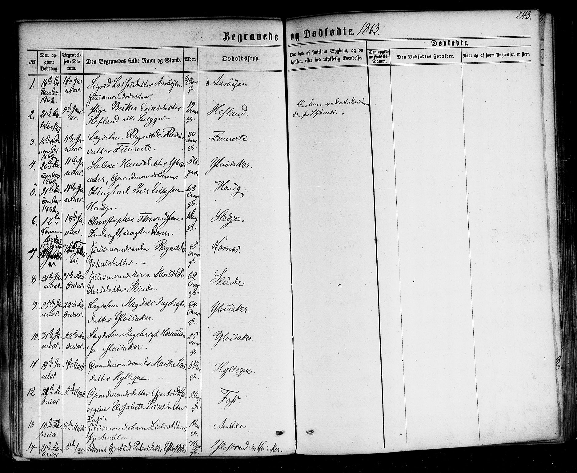 Sogndal sokneprestembete, AV/SAB-A-81301/H/Haa/Haaa/L0013: Parish register (official) no. A 13, 1859-1877, p. 243