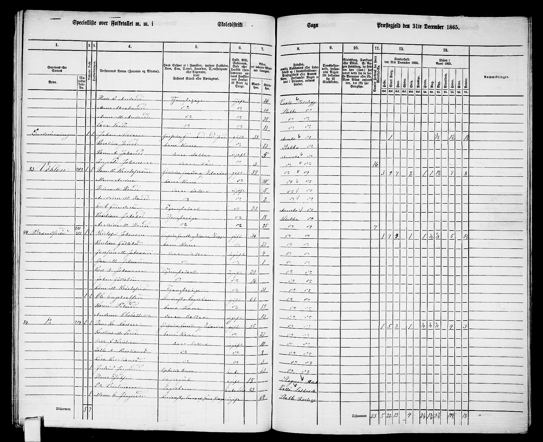 RA, 1865 census for Stokke, 1865, p. 145