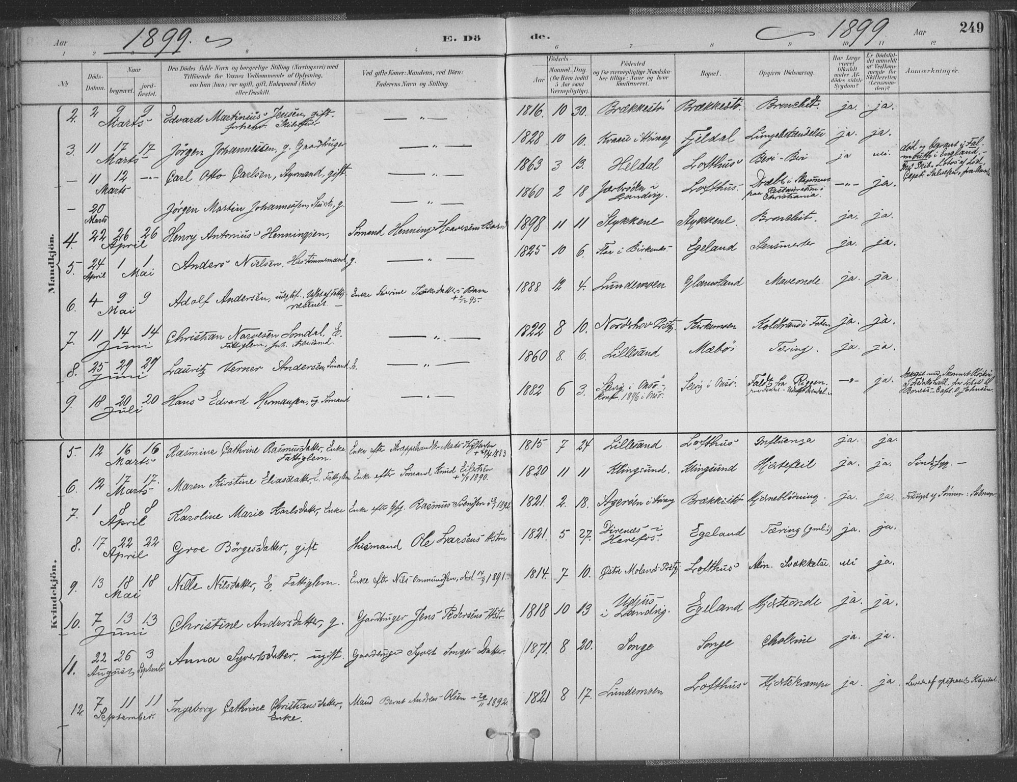 Vestre Moland sokneprestkontor, AV/SAK-1111-0046/F/Fa/Fab/L0009: Parish register (official) no. A 9, 1884-1899, p. 249