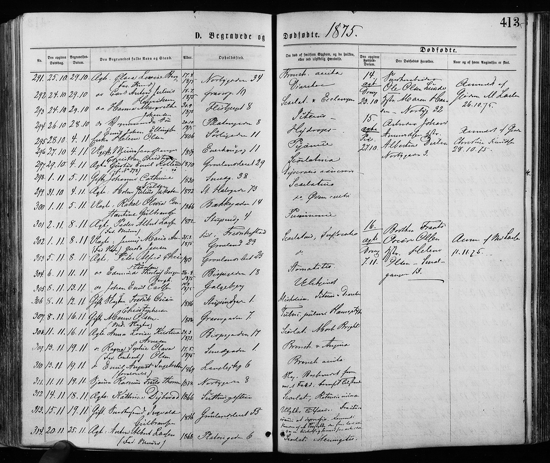 Grønland prestekontor Kirkebøker, AV/SAO-A-10848/F/Fa/L0005: Parish register (official) no. 5, 1869-1880, p. 413