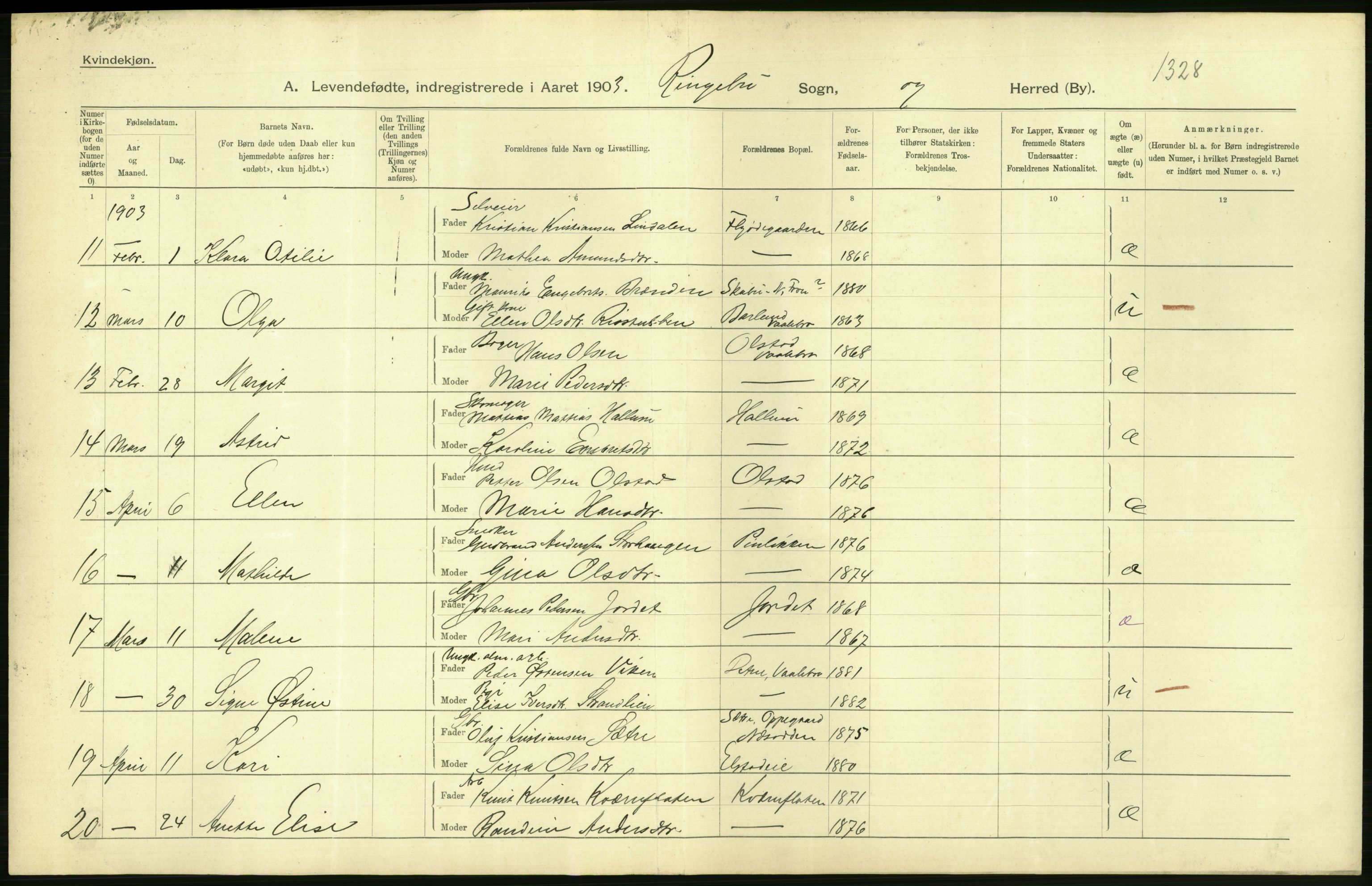 Statistisk sentralbyrå, Sosiodemografiske emner, Befolkning, AV/RA-S-2228/D/Df/Dfa/Dfaa/L0006: Kristians amt: Fødte, gifte, døde, 1903, p. 72