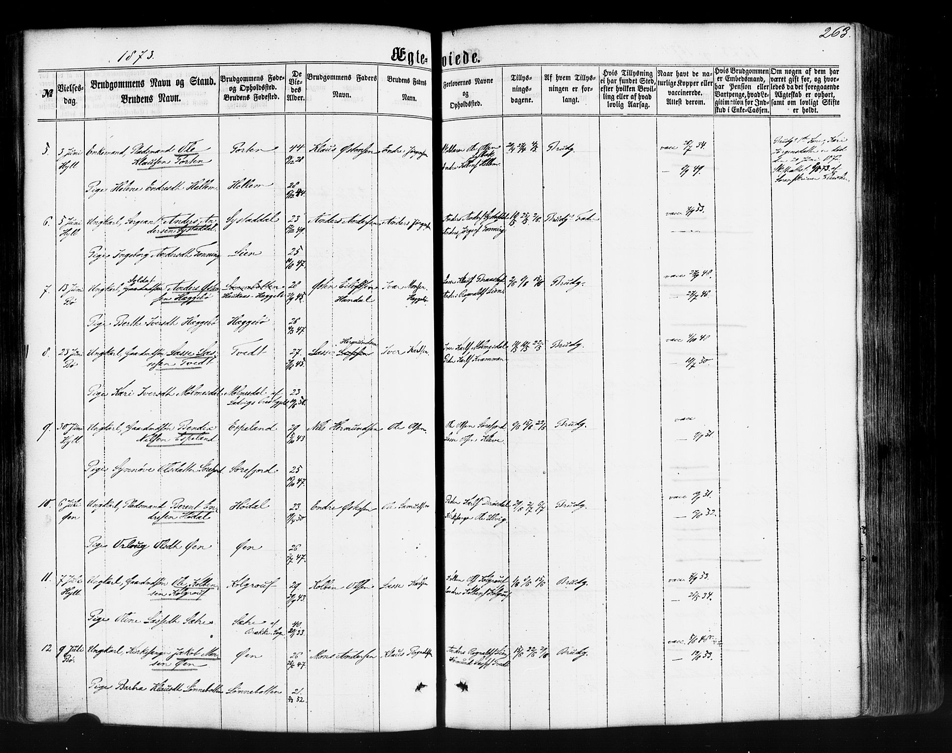 Hyllestad sokneprestembete, AV/SAB-A-80401: Parish register (official) no. A 1, 1861-1886, p. 263